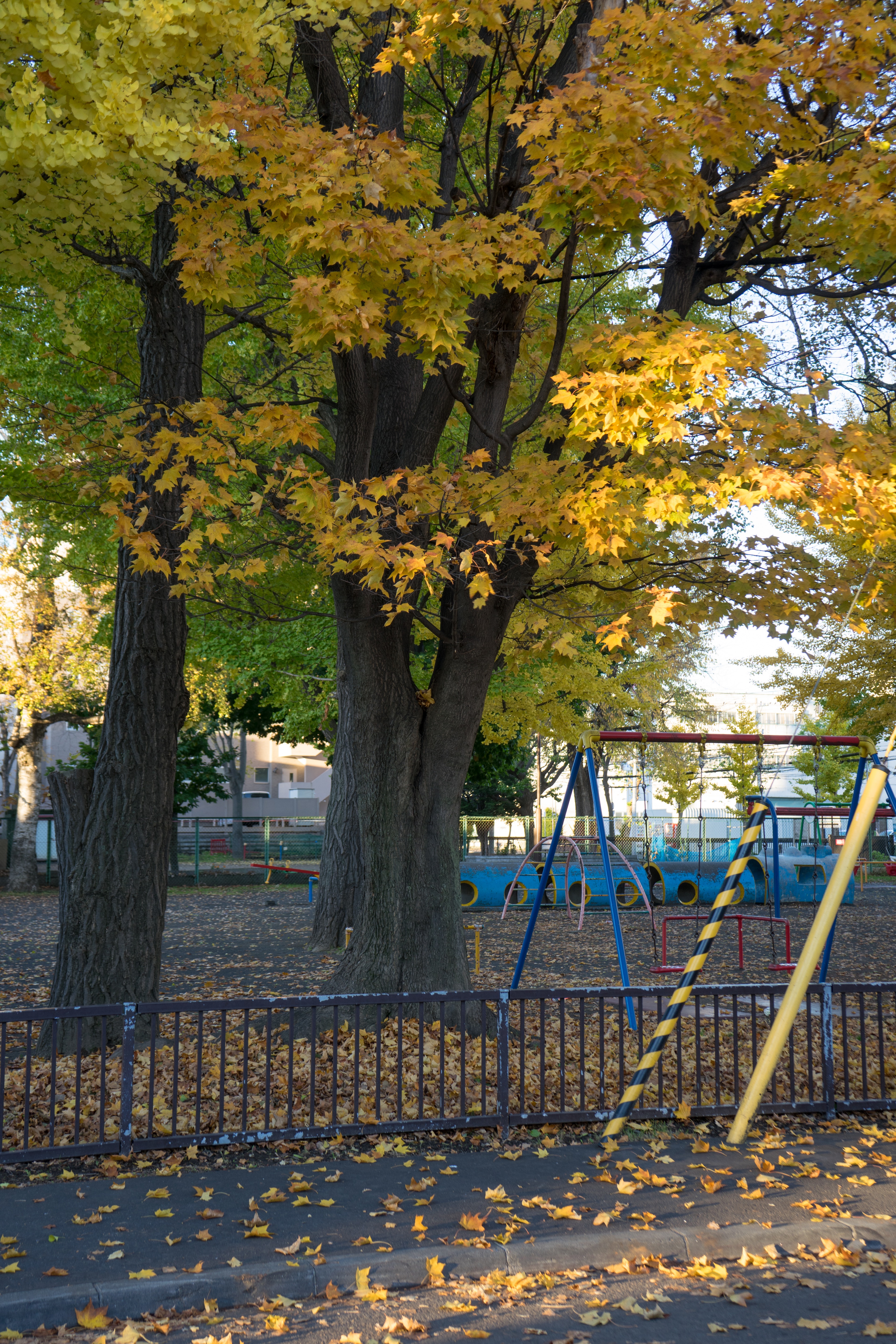 Balançoire dans un parc avec des feuilles d'automne jaunes