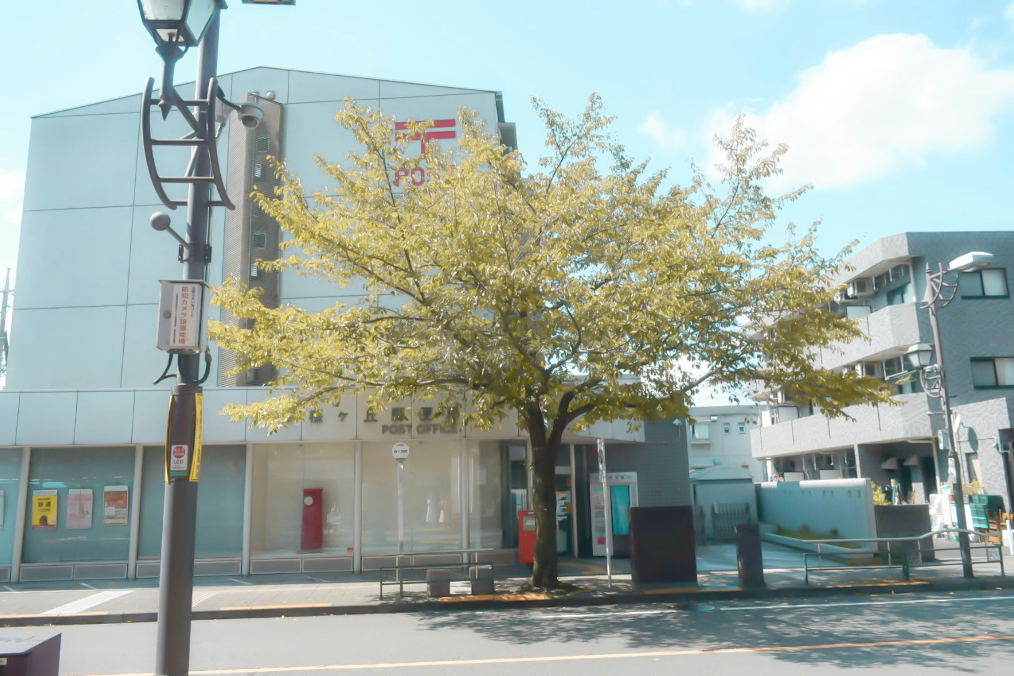 Un gran árbol frente a un edificio de correos bajo un cielo azul