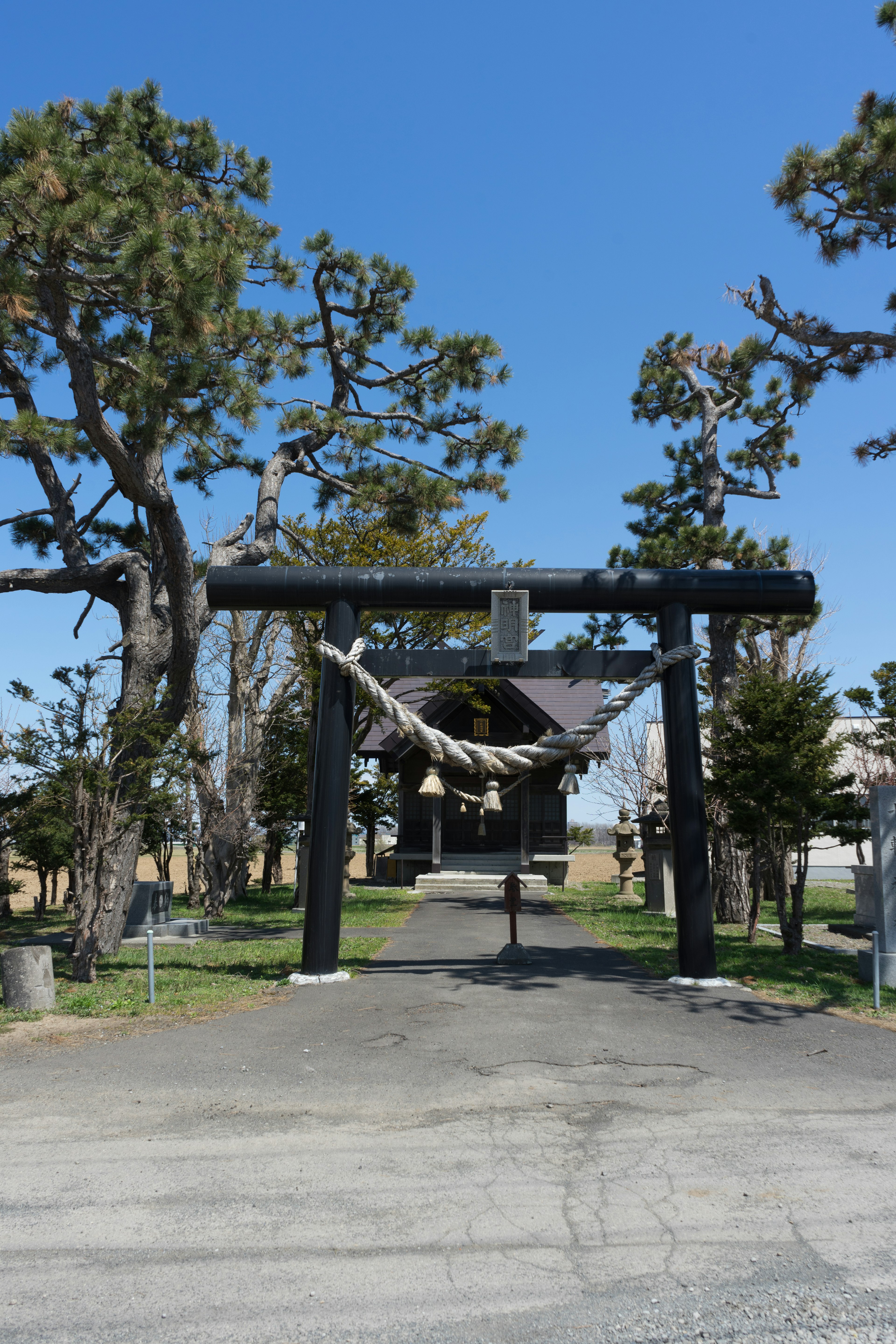 Pintu masuk kuil dengan gerbang torii hitam dan pohon pinus di sekitarnya