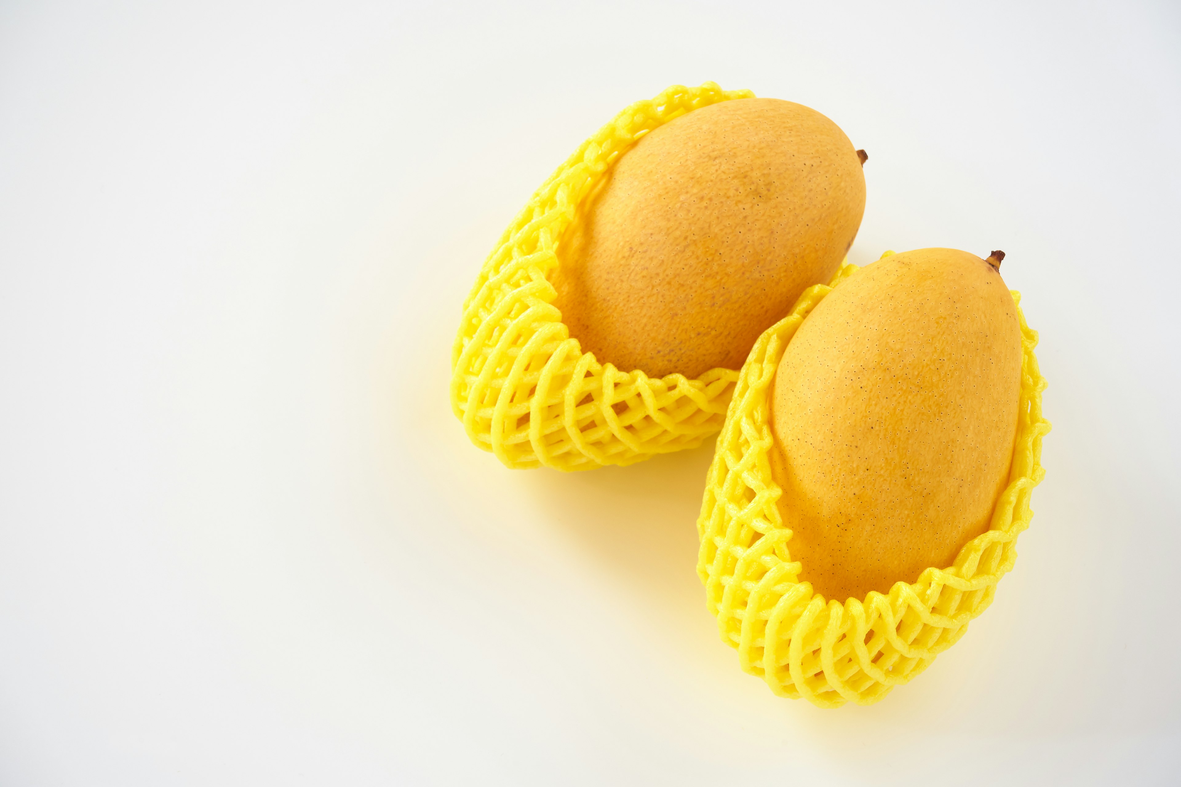 Two mangoes wrapped in yellow netting