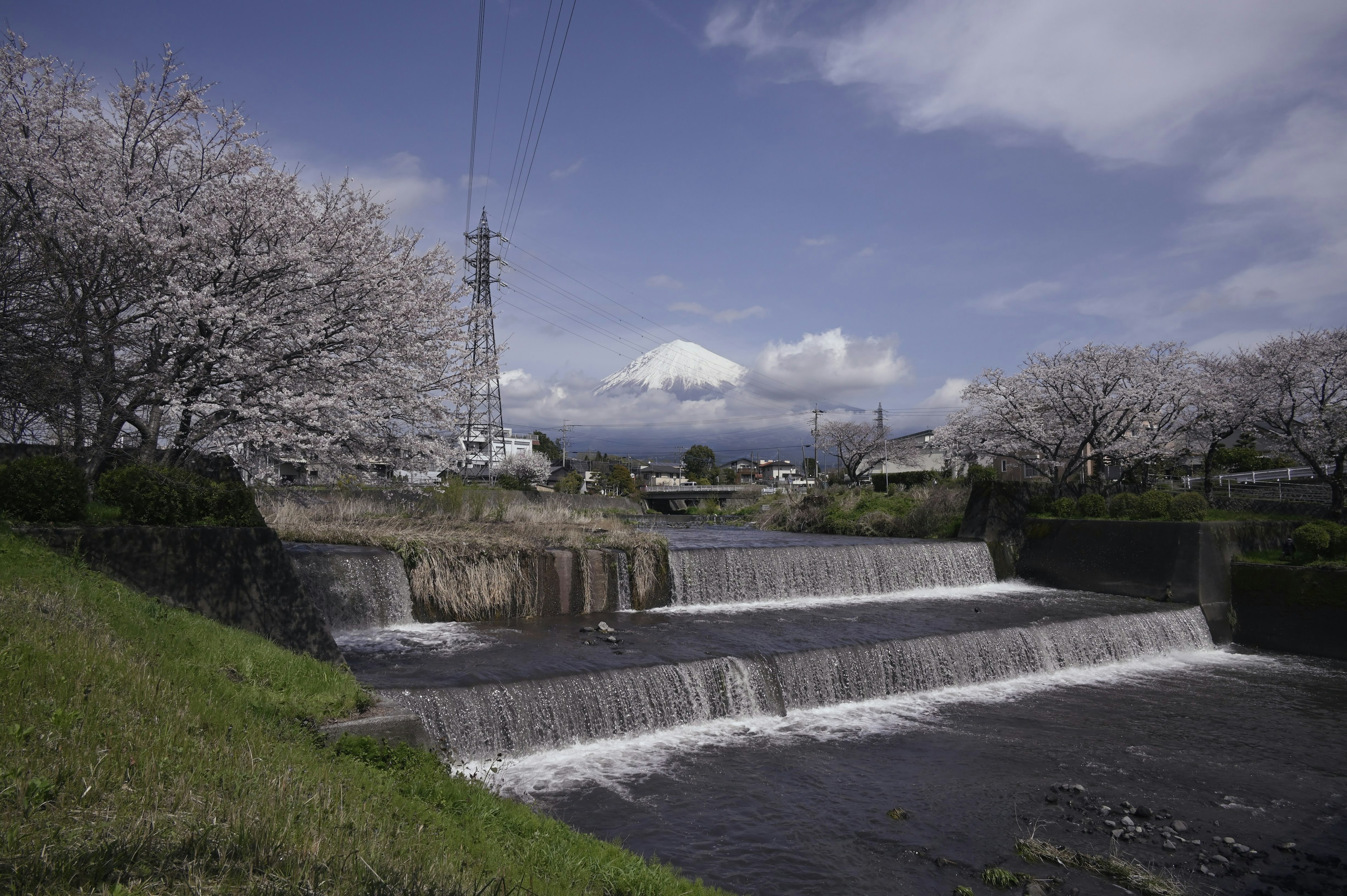 桜の木に囲まれた川と滝の風景