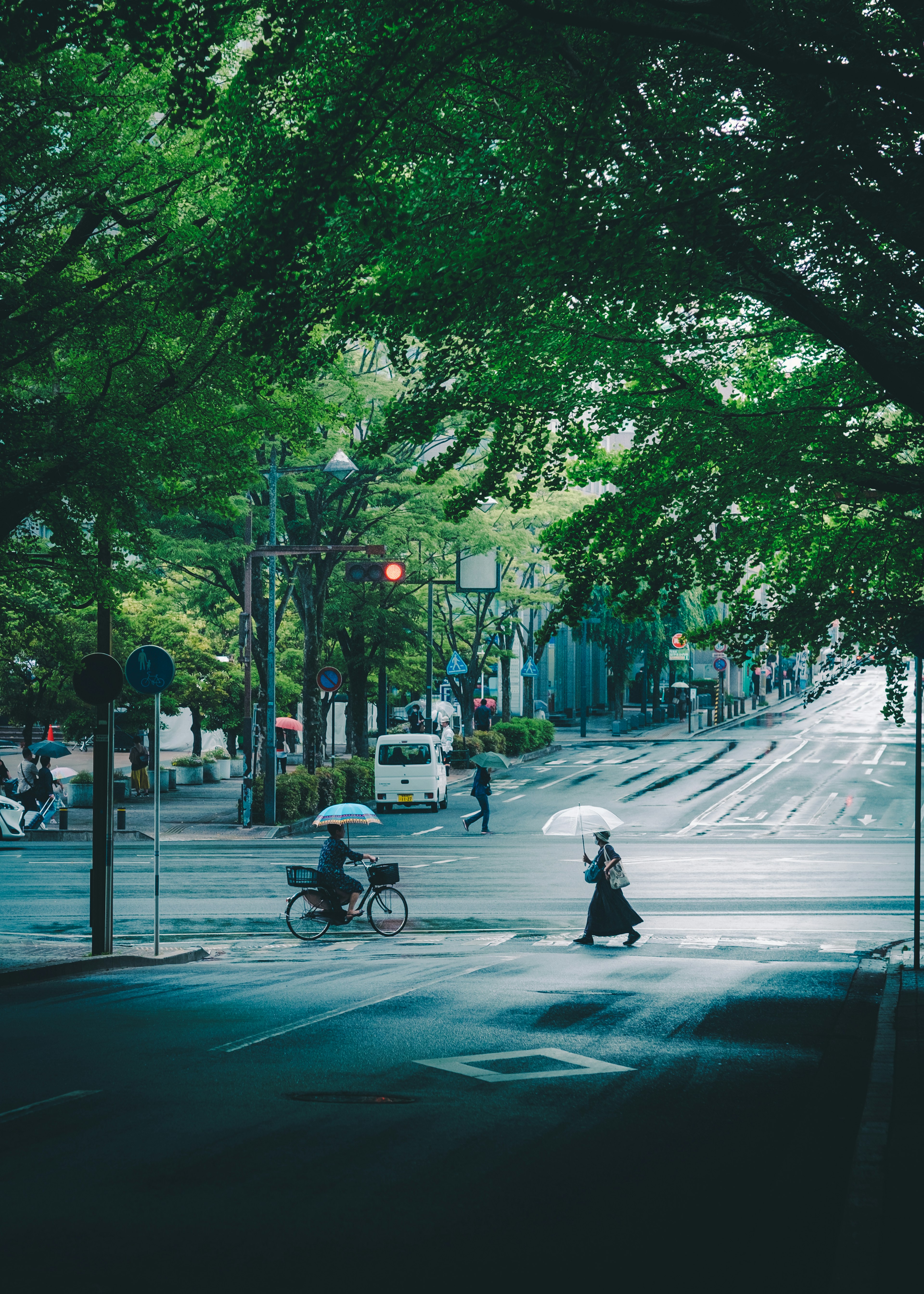 A person with an umbrella crossing the street surrounded by lush green trees