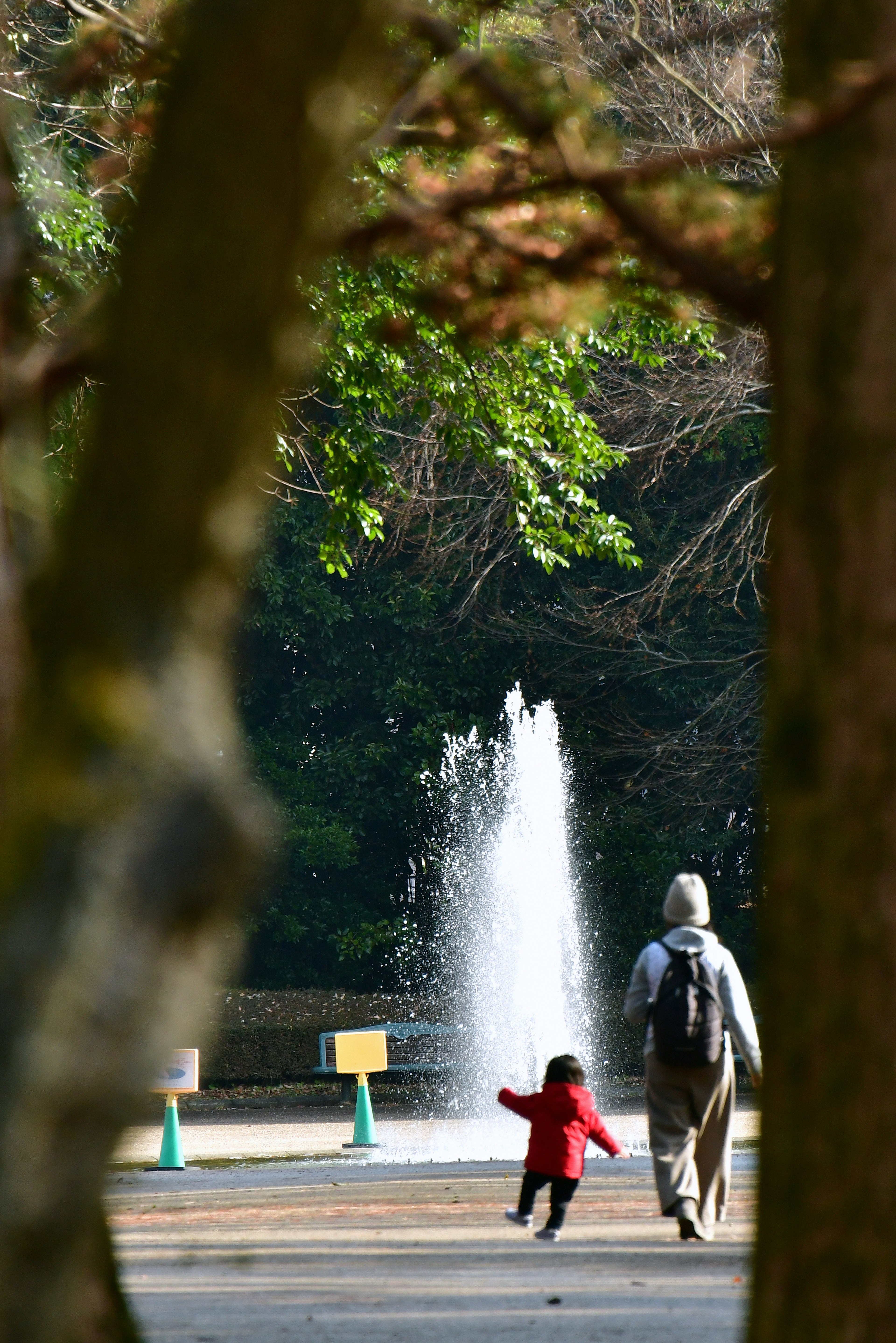 公園で水の噴水の前を歩く子供と大人の後ろ姿