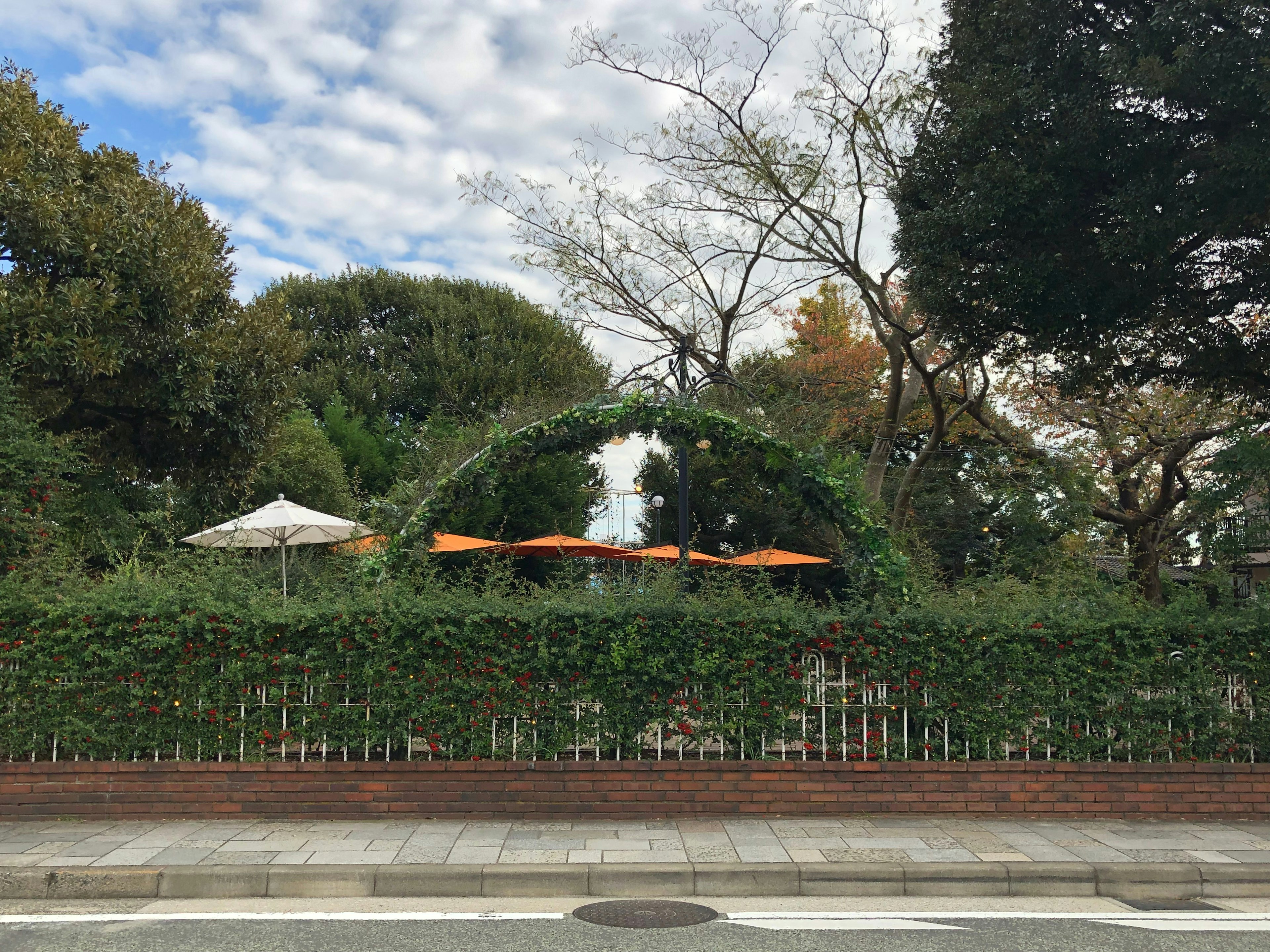 Área de café con setos verdes y sombrillas naranjas en un parque