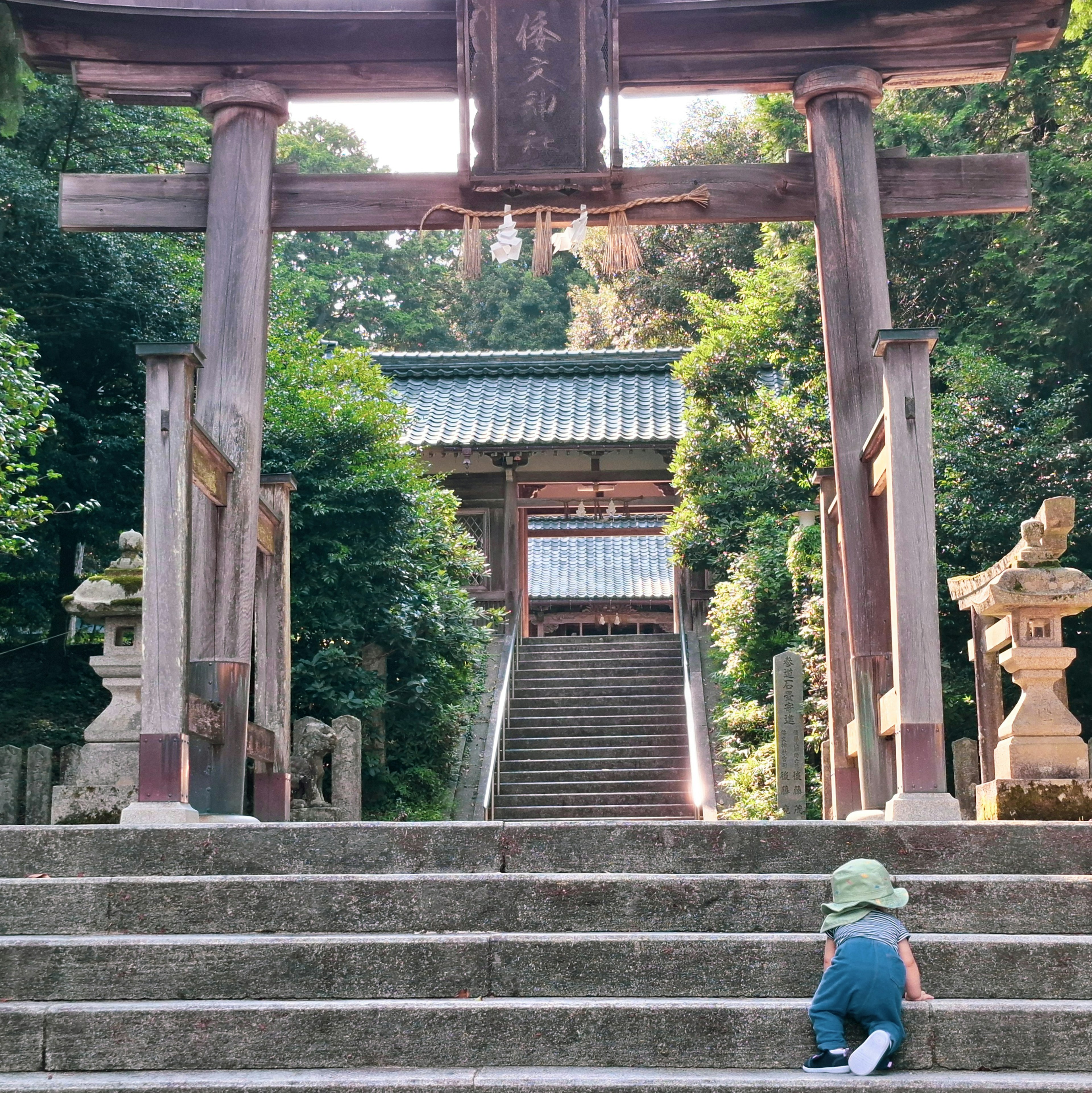 Niño subiendo escaleras en un santuario con un torii