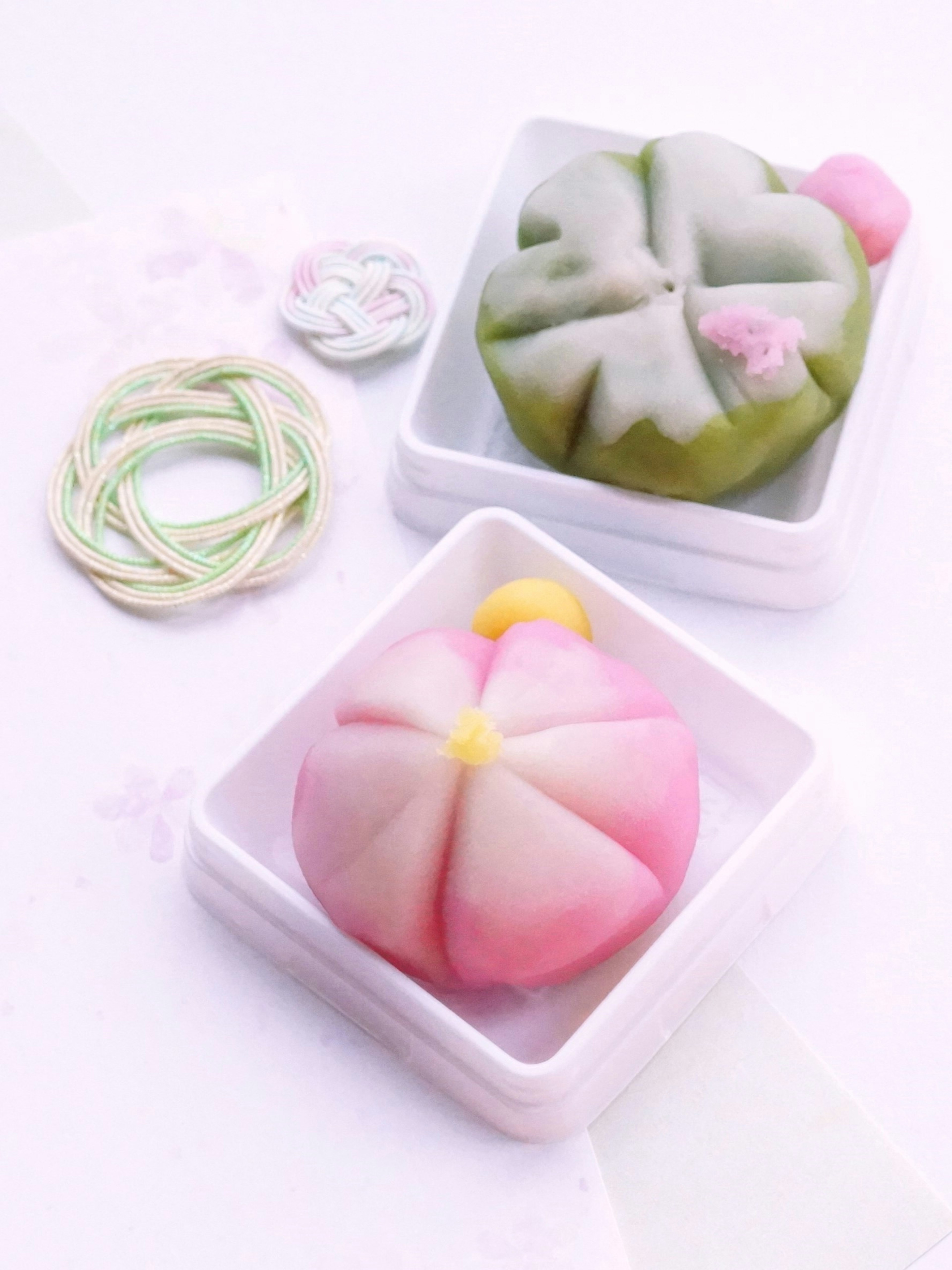 Deux magnifiques wagashi présentés sur des assiettes blanches