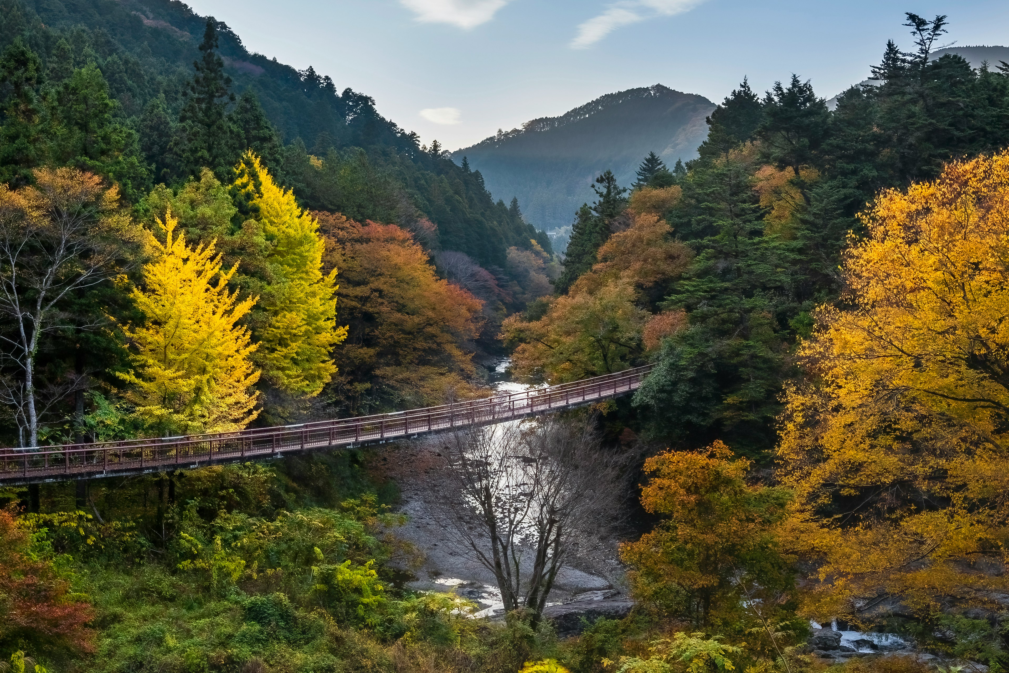 Wooden bridge spanning a serene river surrounded by vibrant autumn foliage