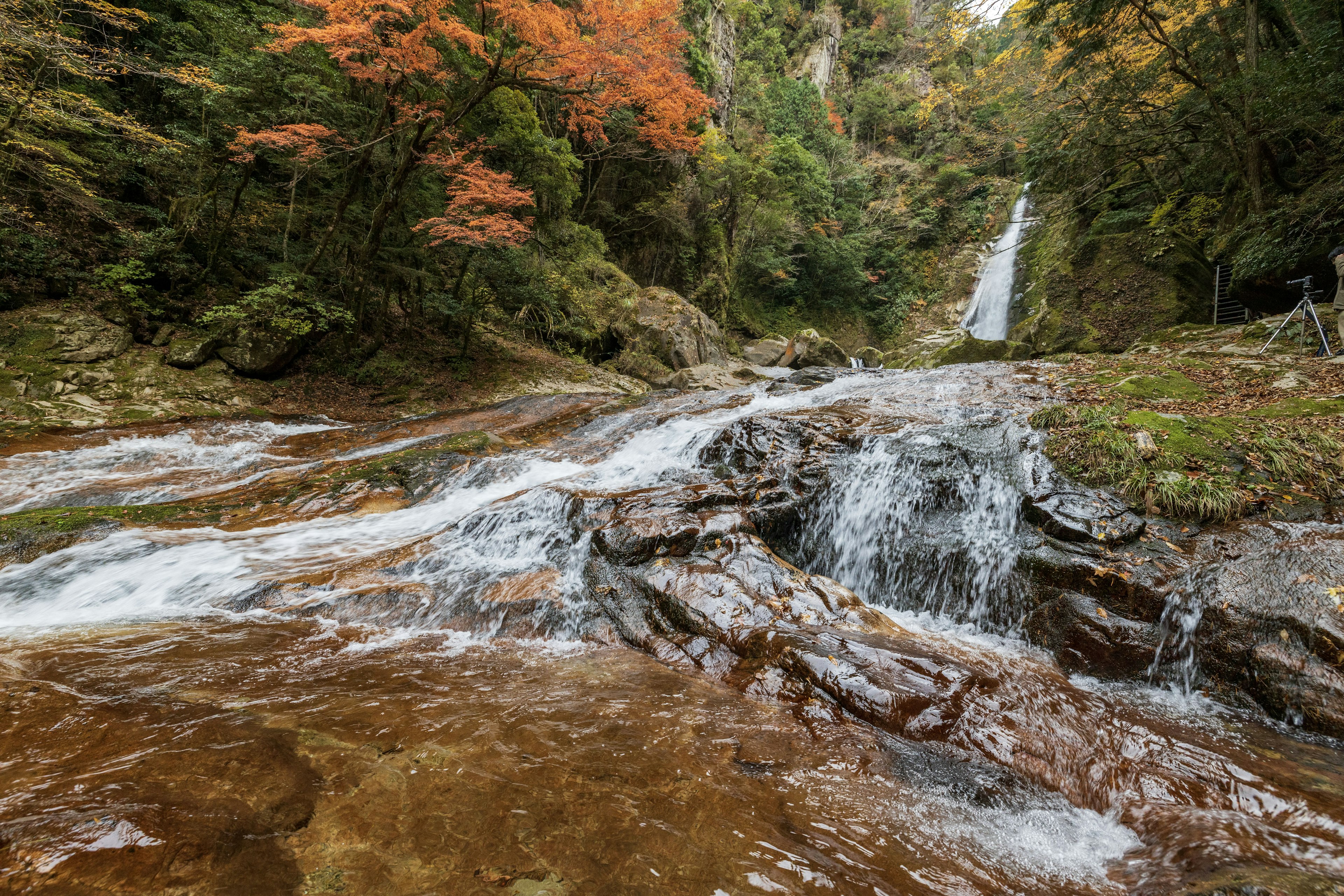 美しい滝と紅葉した木々が見える渓谷の風景