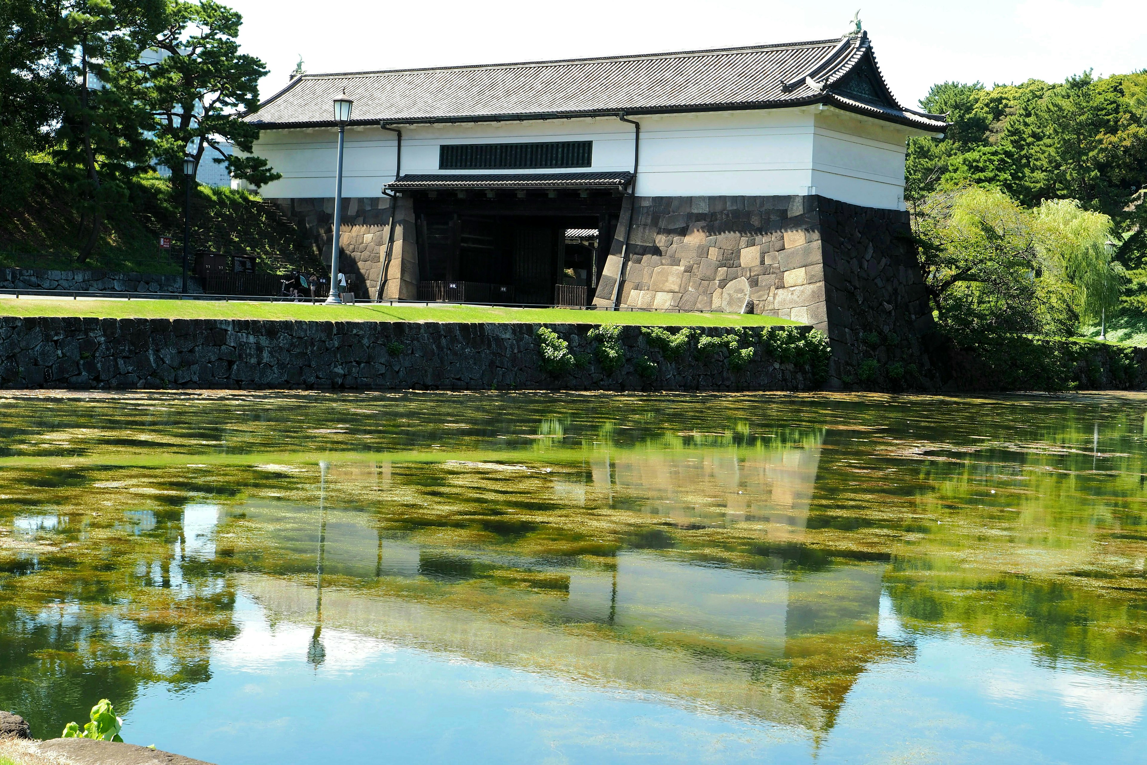 传统日本建筑在宁静水面上的倒影与郁郁葱葱的绿意