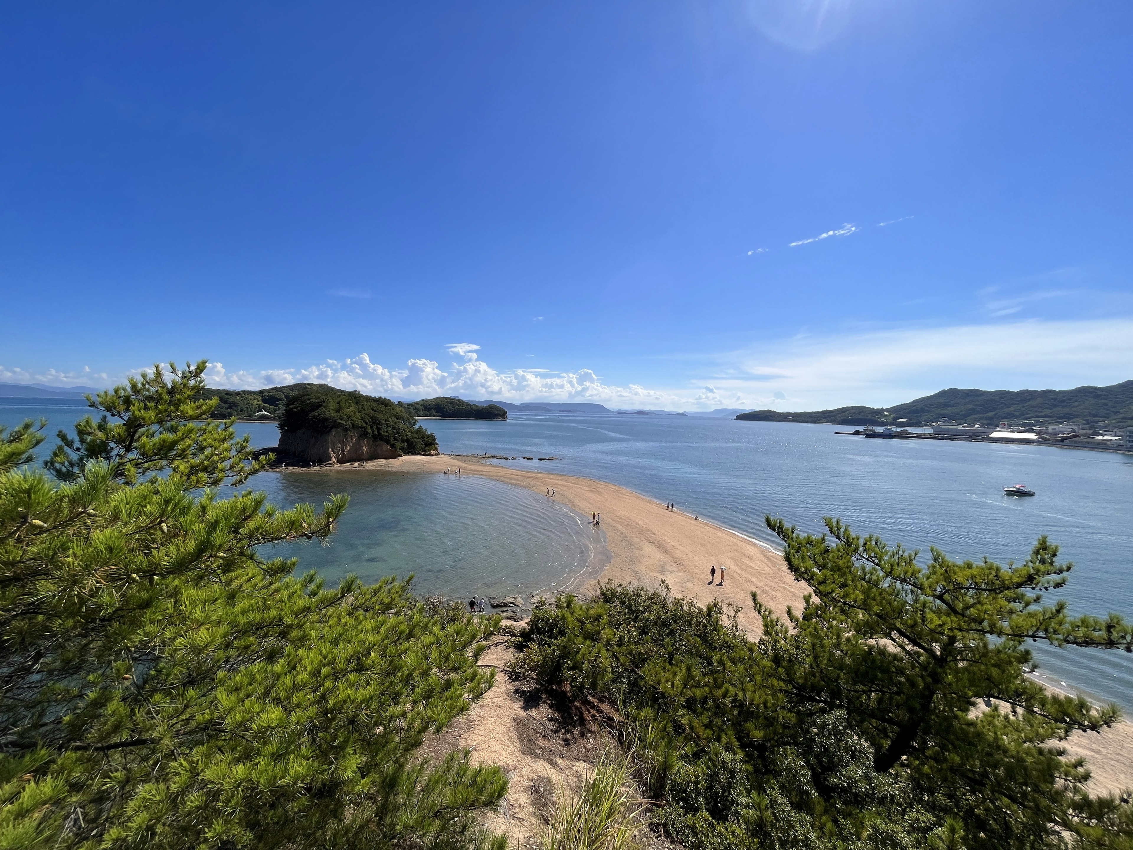 Vista panoramica di una spiaggia sabbiosa circondata da cielo blu e acqua con vegetazione lussureggiante