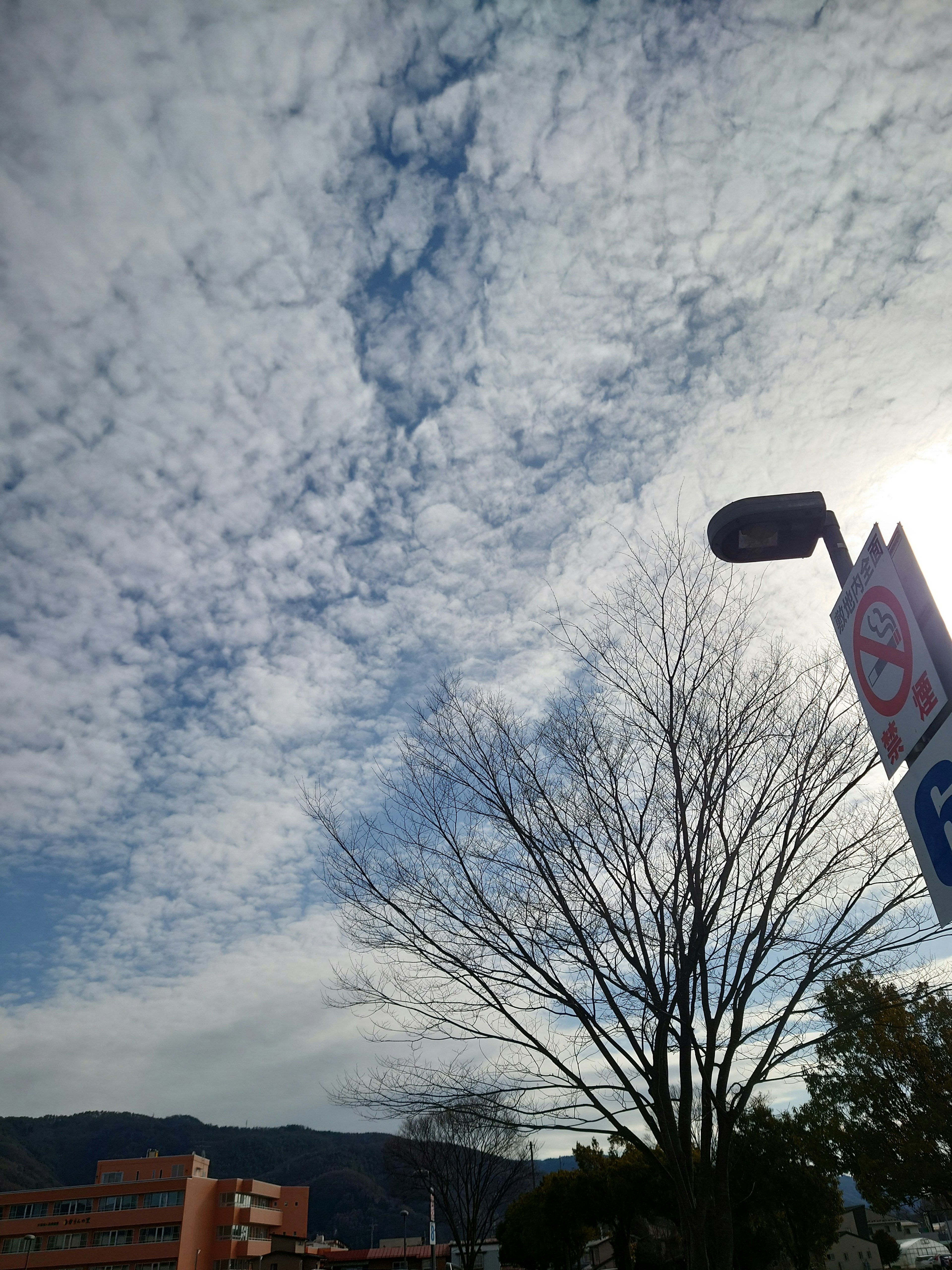 Langit biru dipenuhi awan putih dengan lampu jalan dan pohon