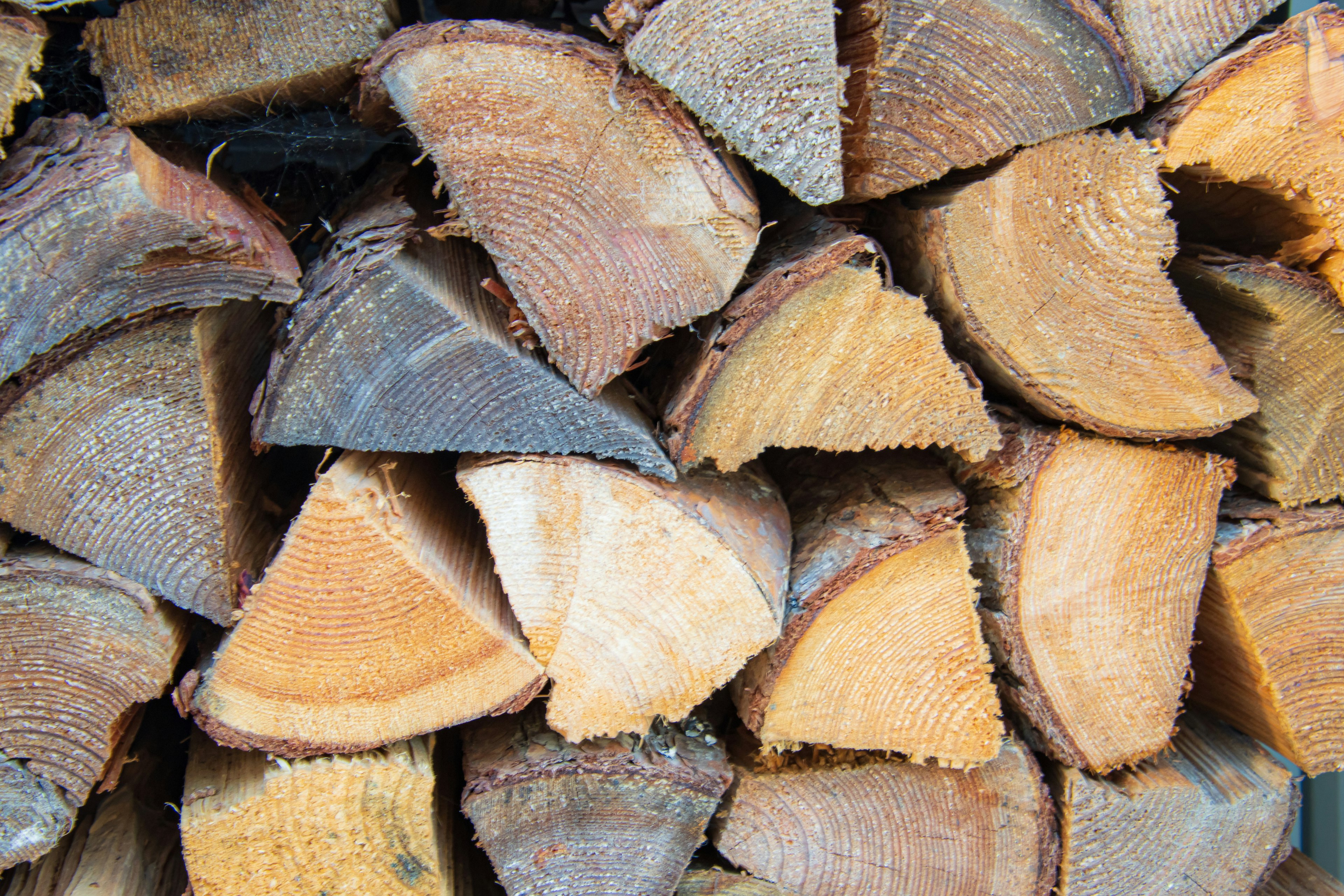 Stacked logs showing cross-sections and natural wood patterns