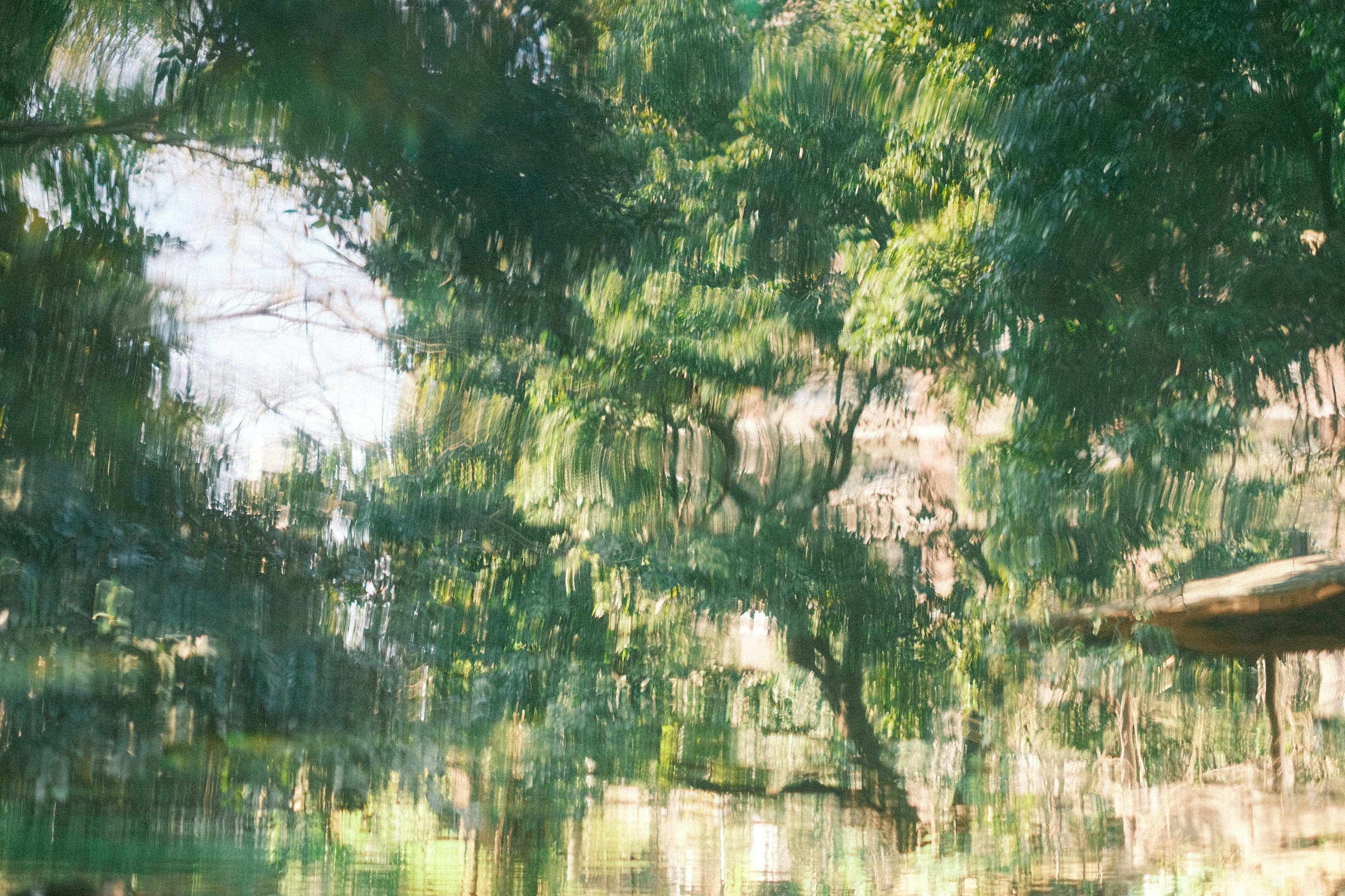 Reflection of green trees and soft light on the water surface