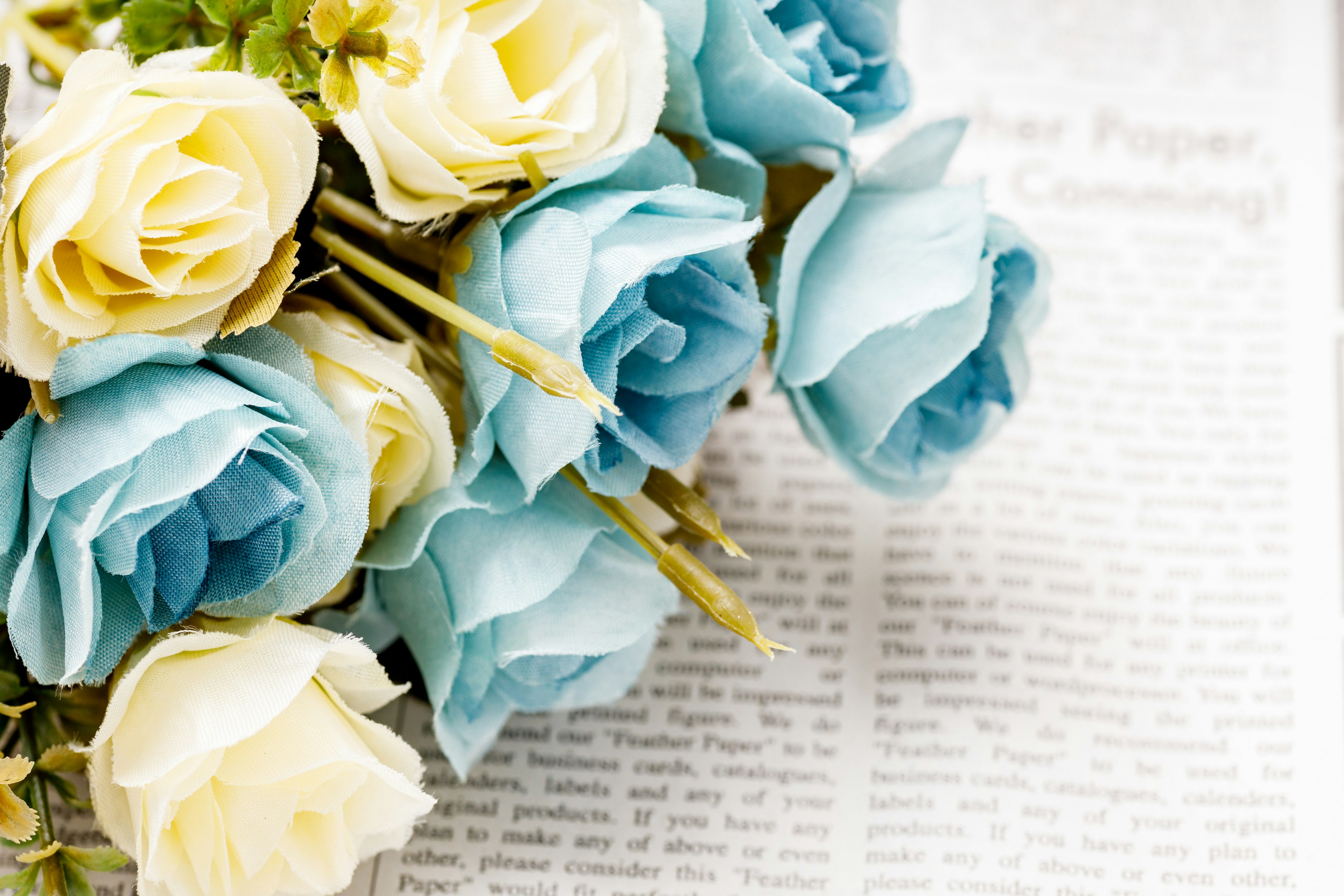 Un bouquet de roses bleues et blanches posé sur un journal