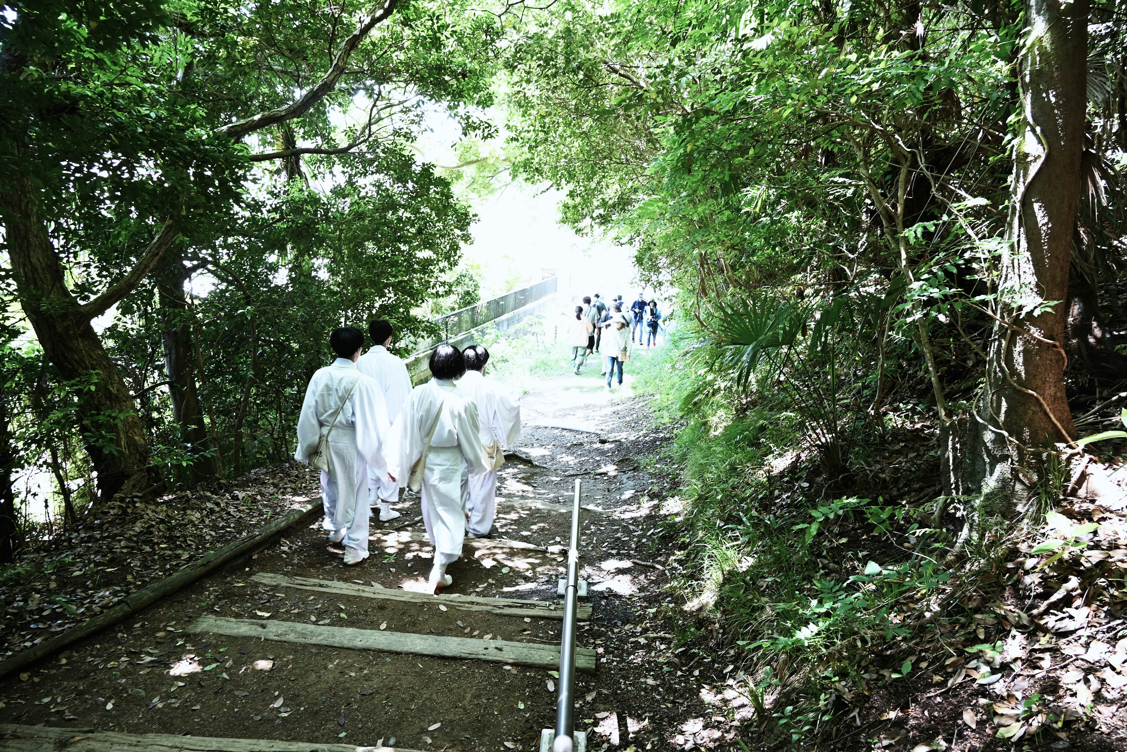 白い衣装を着た人々が森の小道を歩いている風景