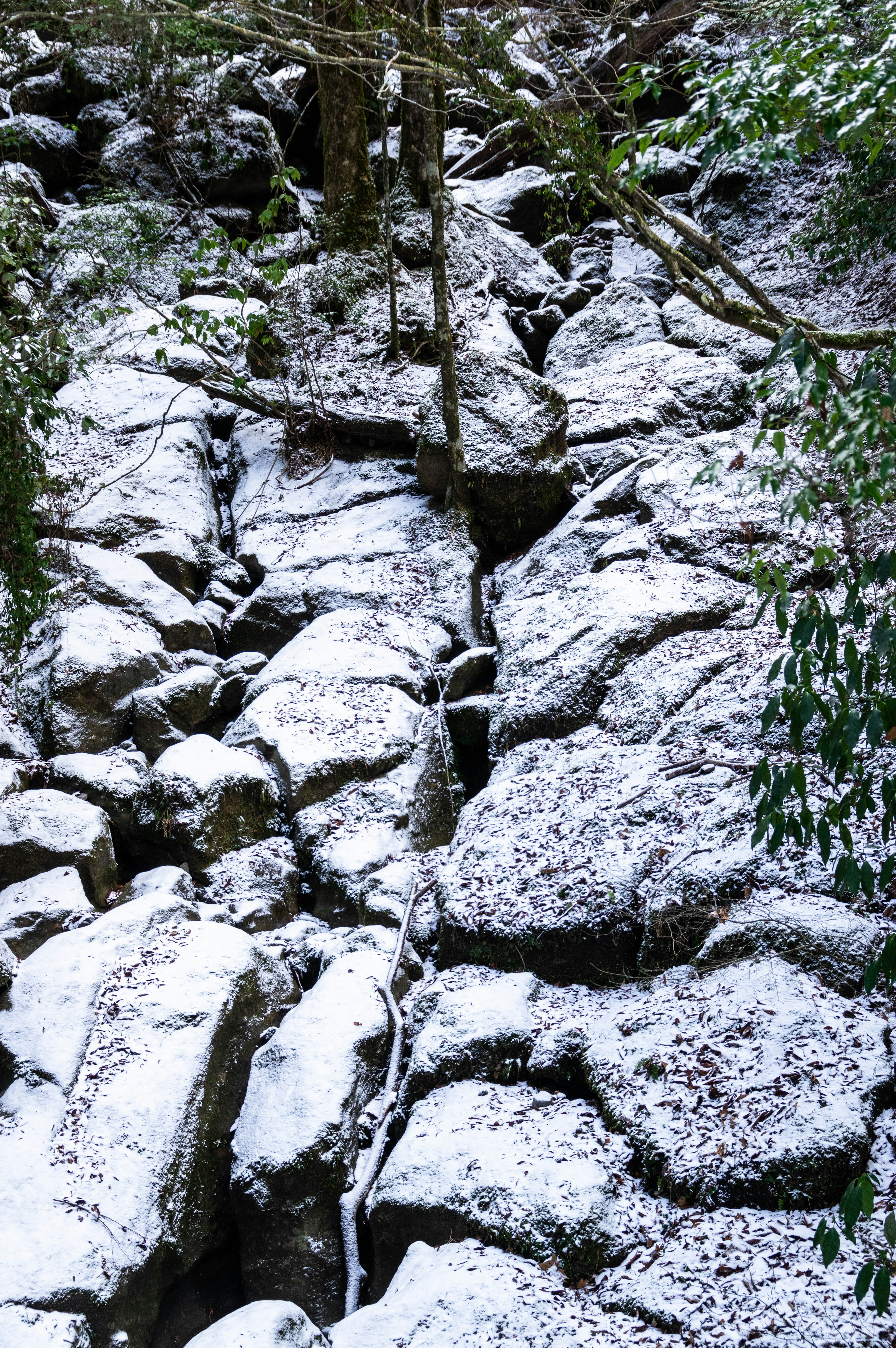 Paesaggio naturale con rocce coperte di neve e un piccolo ruscello