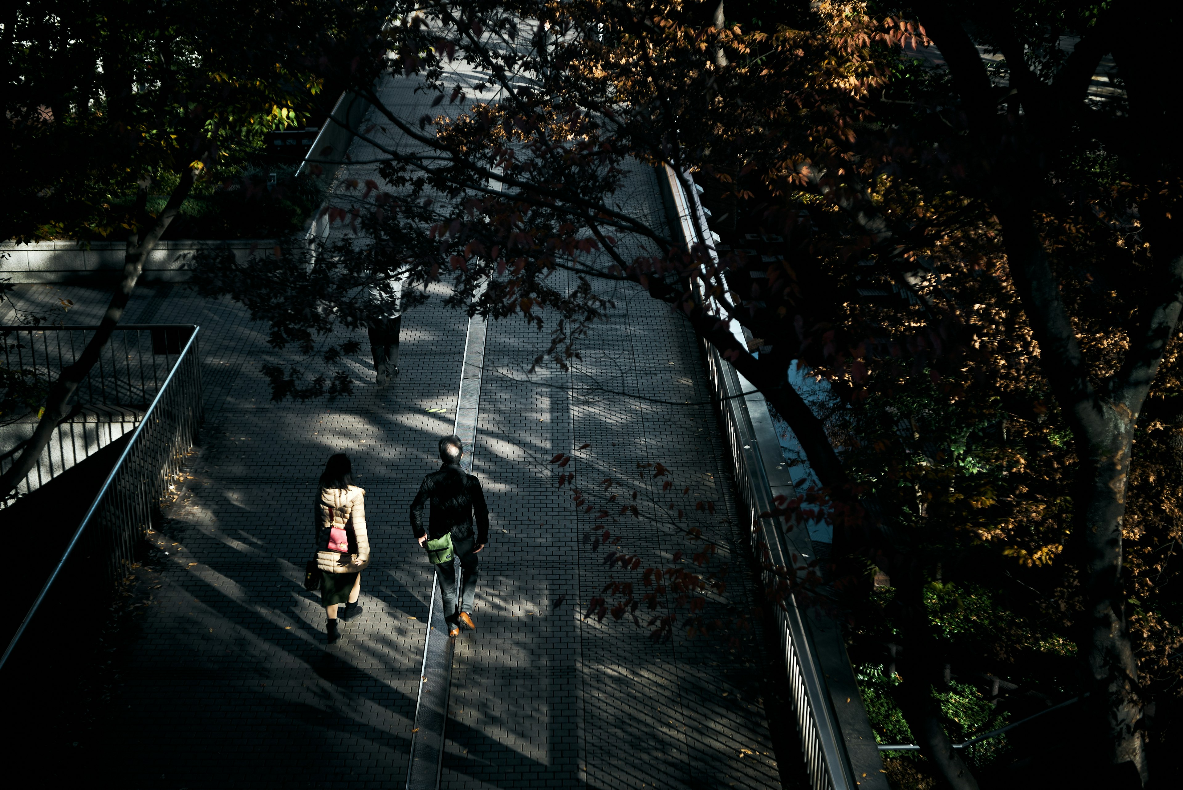 Two people walking in an autumn park with fallen leaves