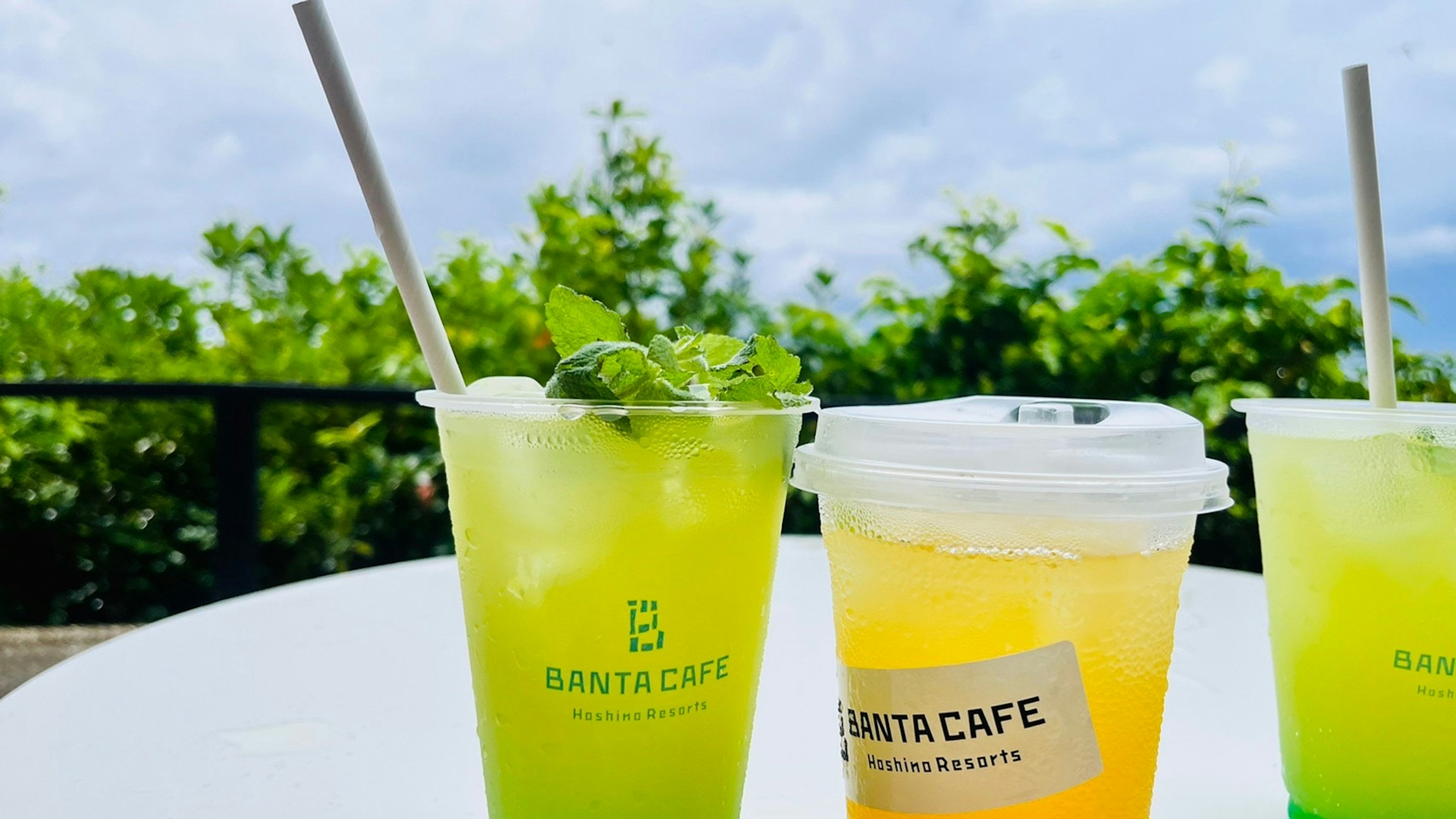 Bebidas verdes y naranjas vibrantes sobre una mesa con un fondo escénico