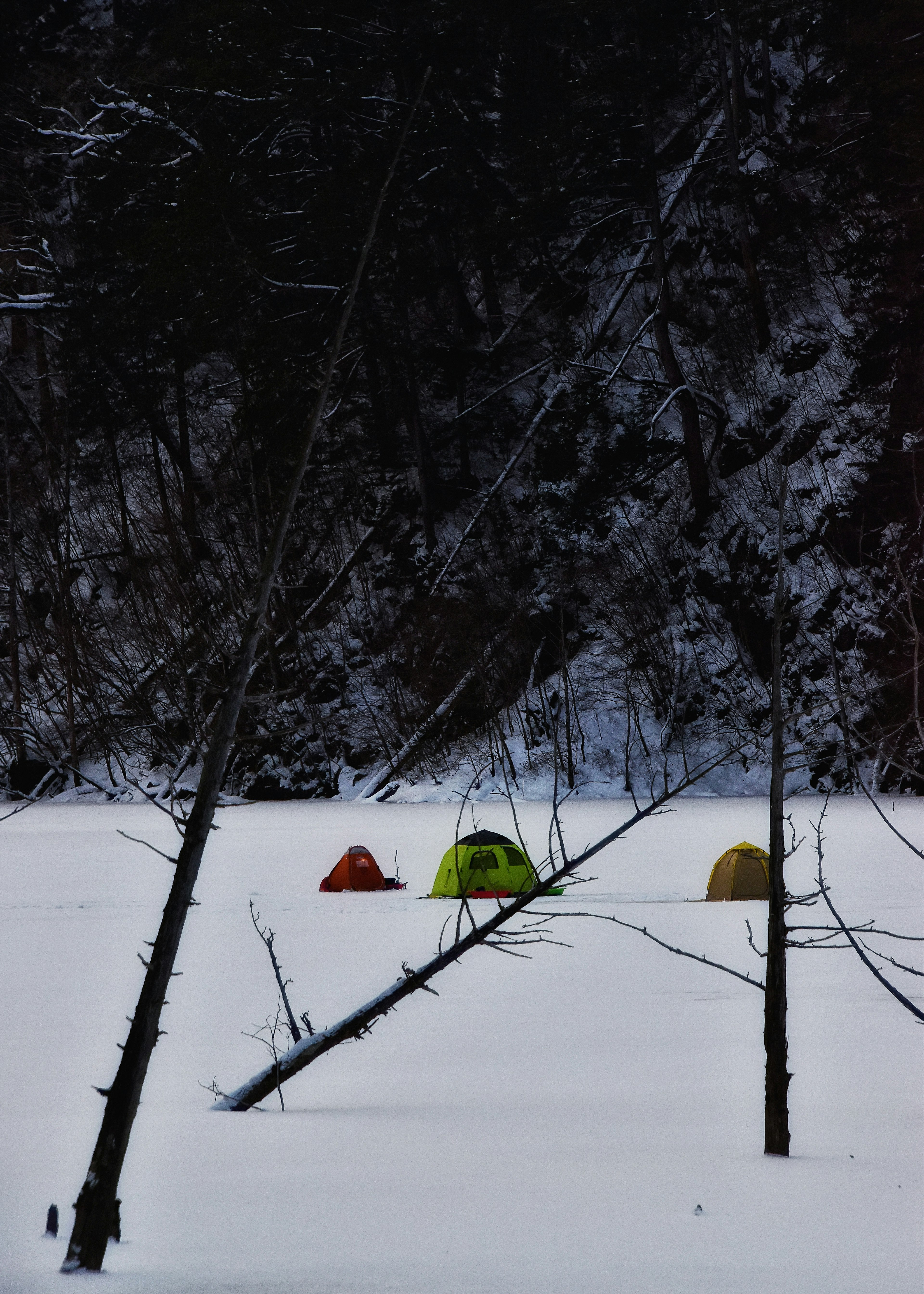 Colorful tents in a snowy campsite surrounded by bare trees