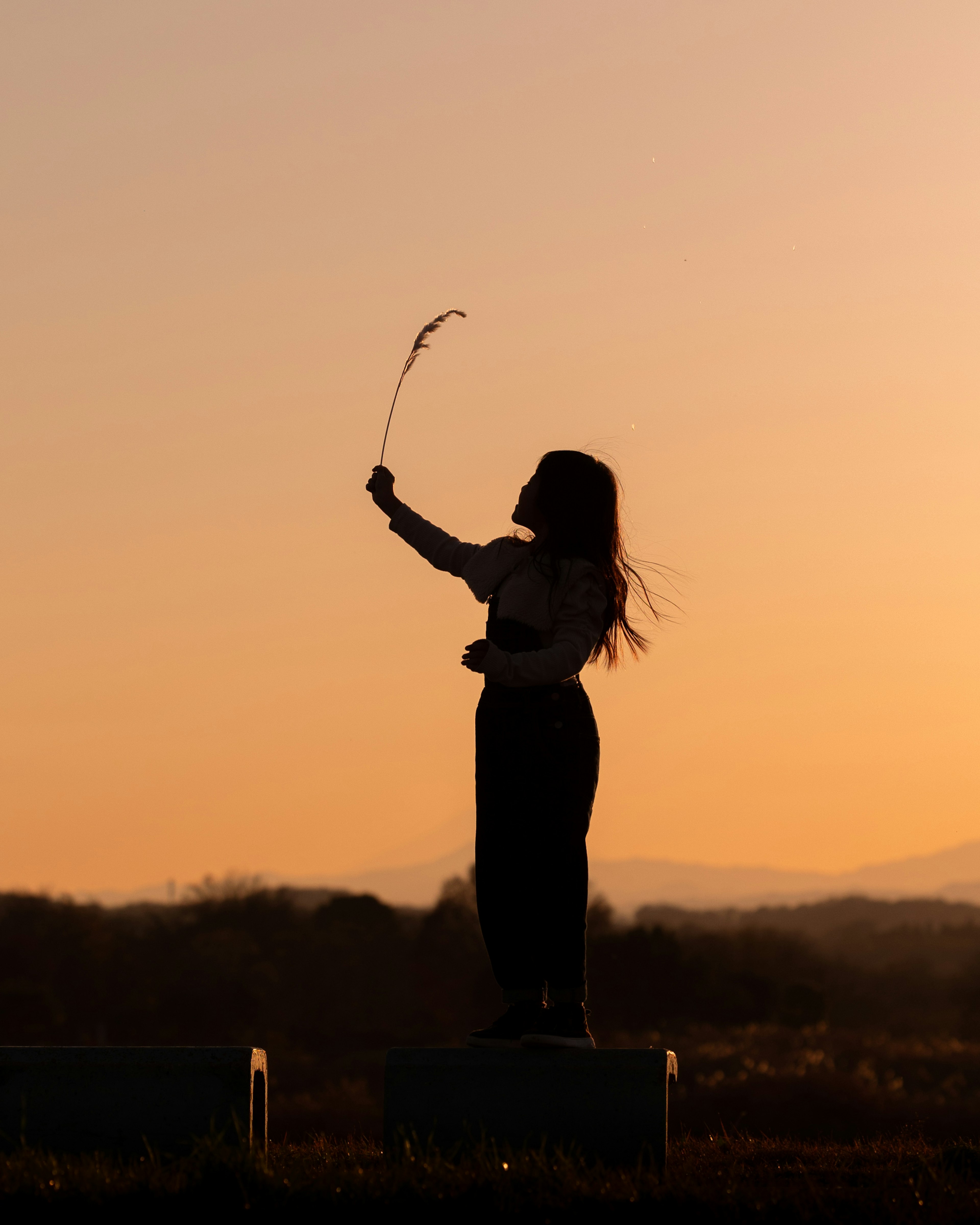 Silhouette einer Frau, die Gras gegen einen Sonnenuntergang hält