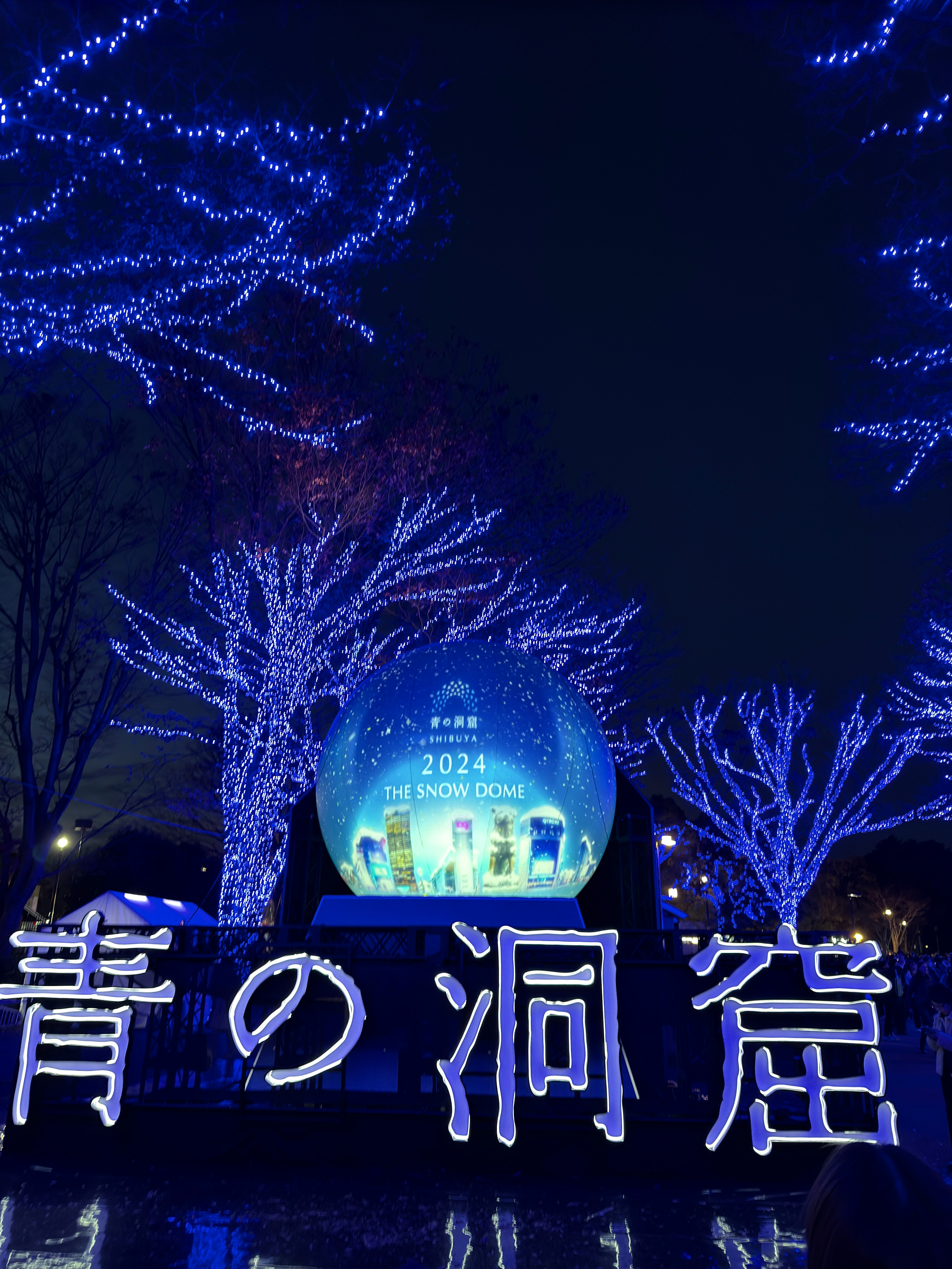 青の洞窟イルミネーションの美しい景観が広がる夜の公園