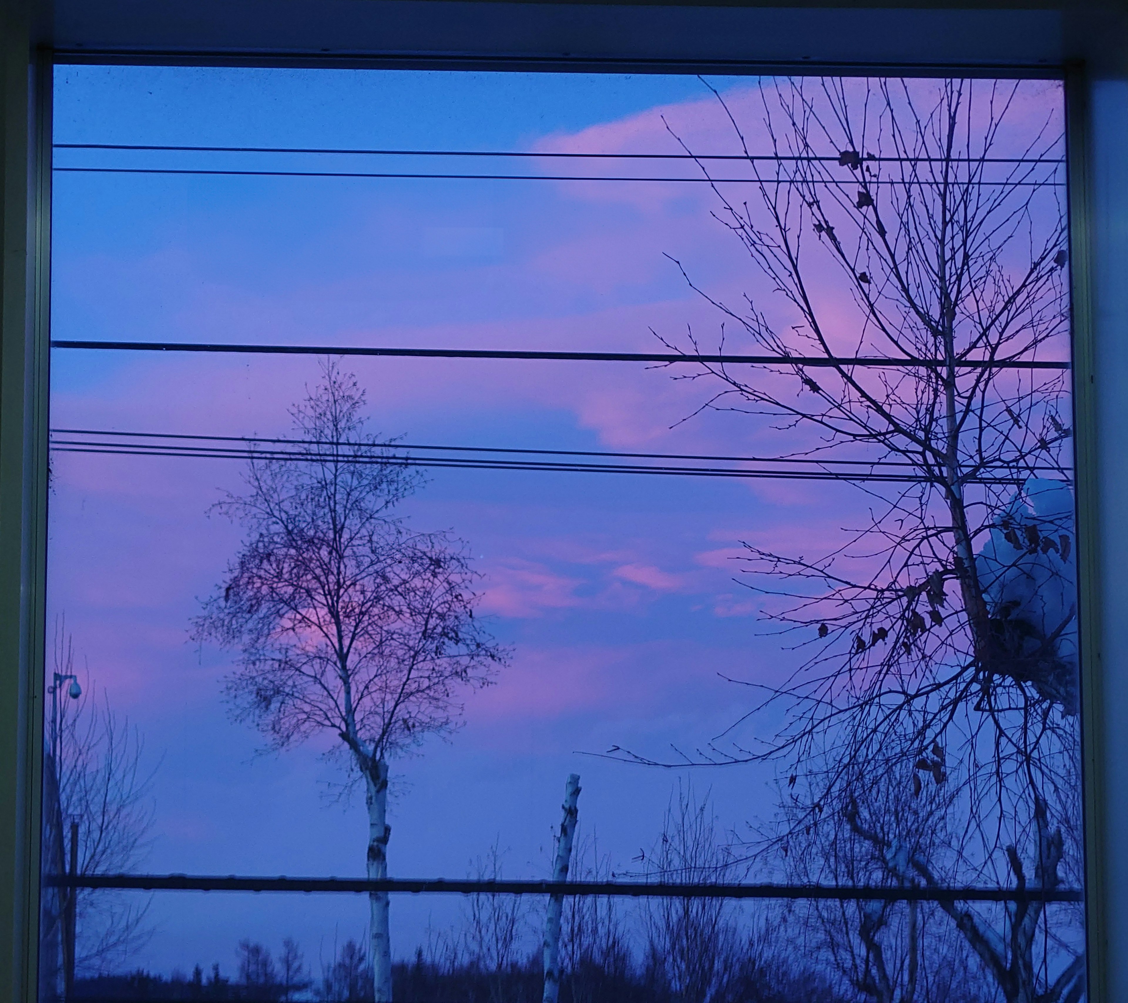 Purple sunset viewed through a window with silhouetted trees