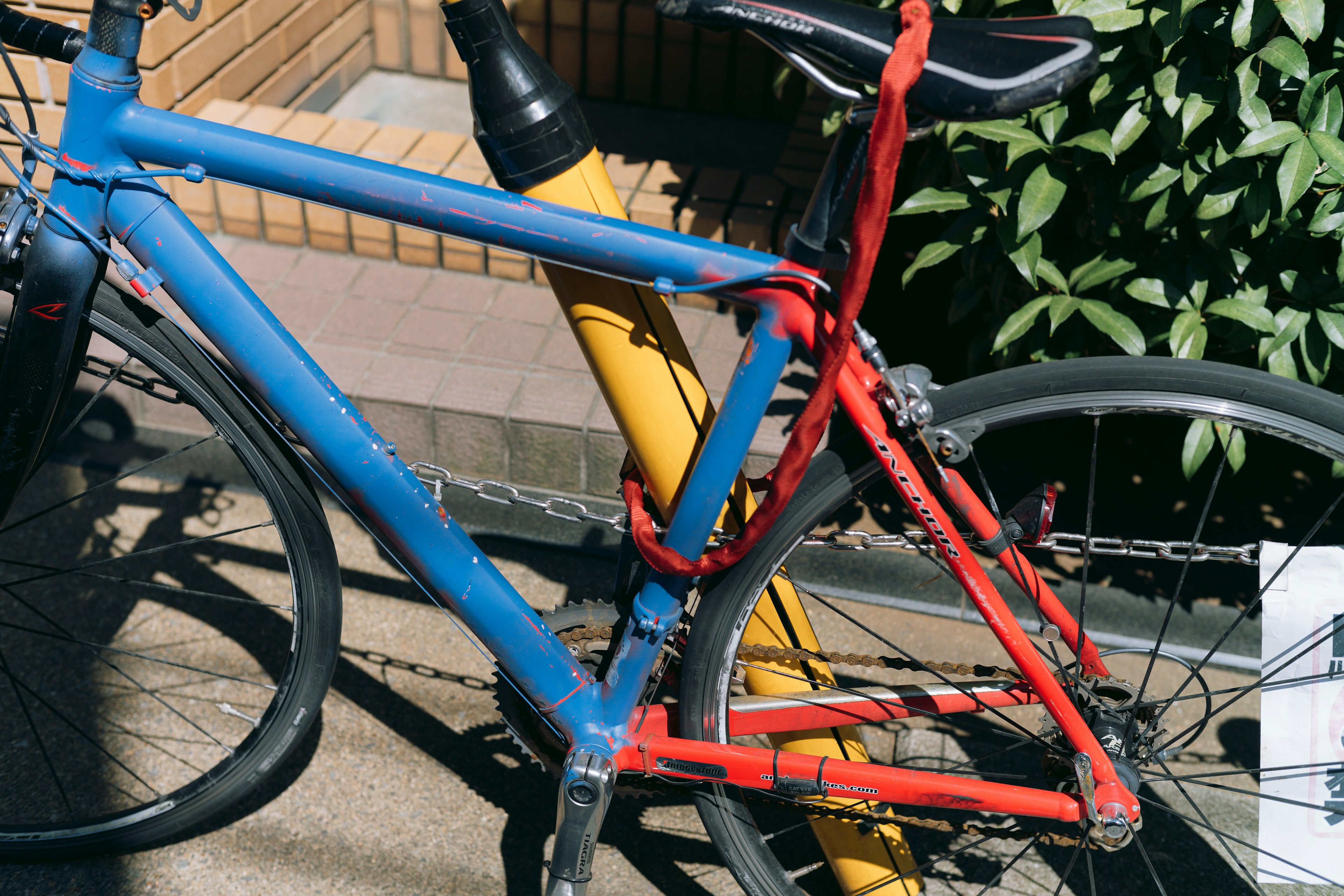 A blue and red bicycle locked to a yellow pole surrounded by greenery