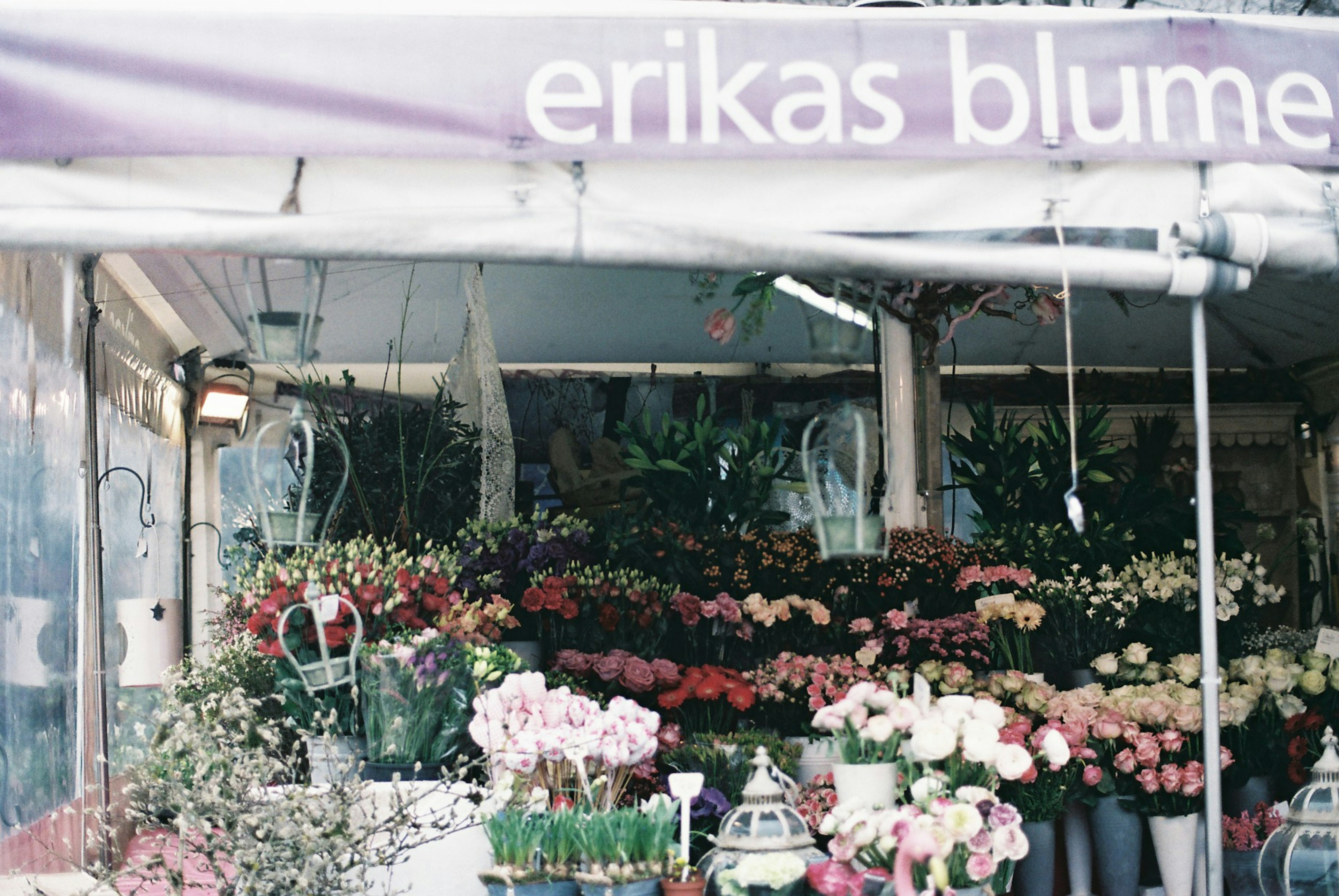 Vista exterior de Erikas Blume con una variedad de flores coloridas