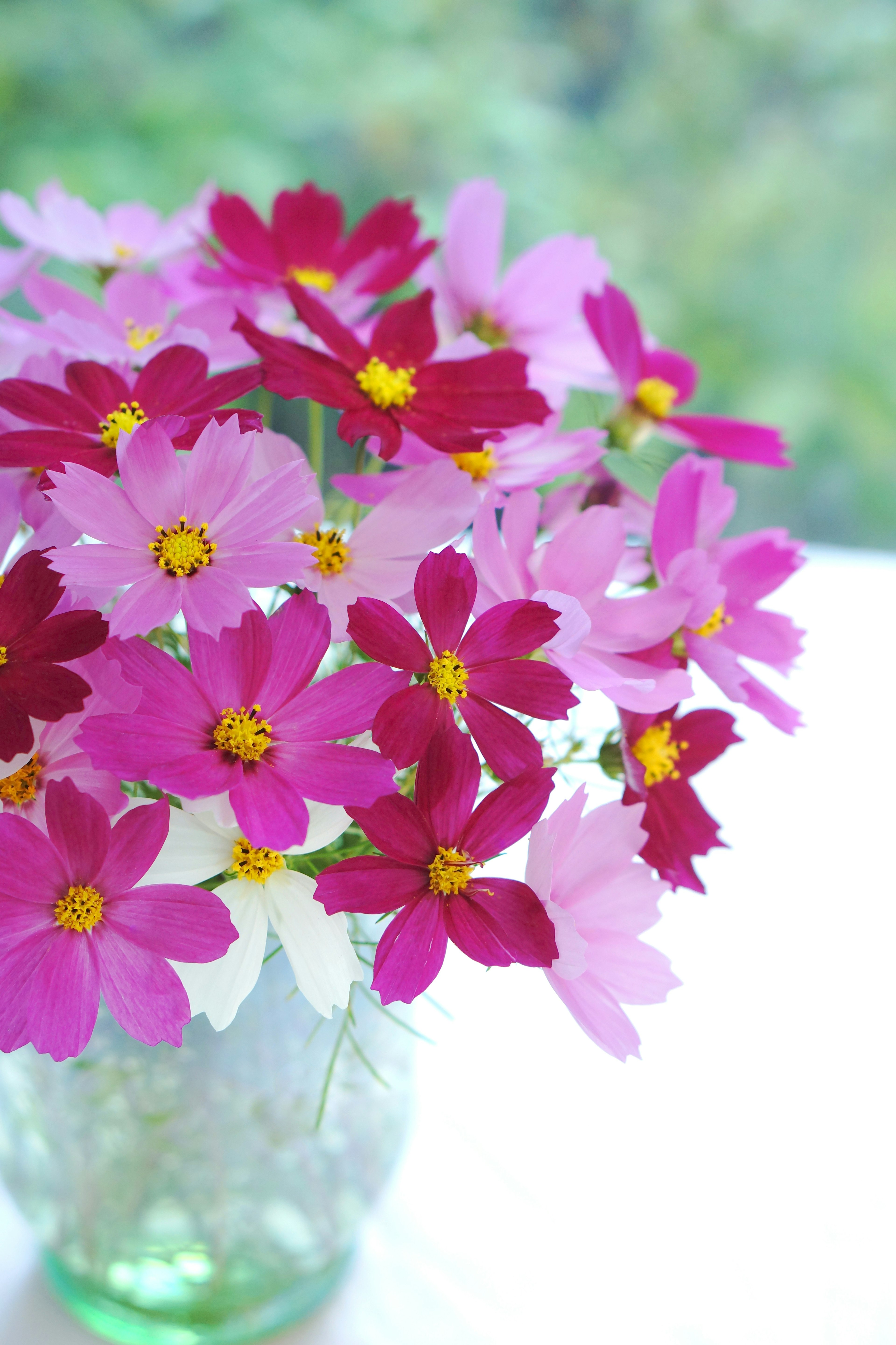 Un vaso trasparente pieno di fiori colorati