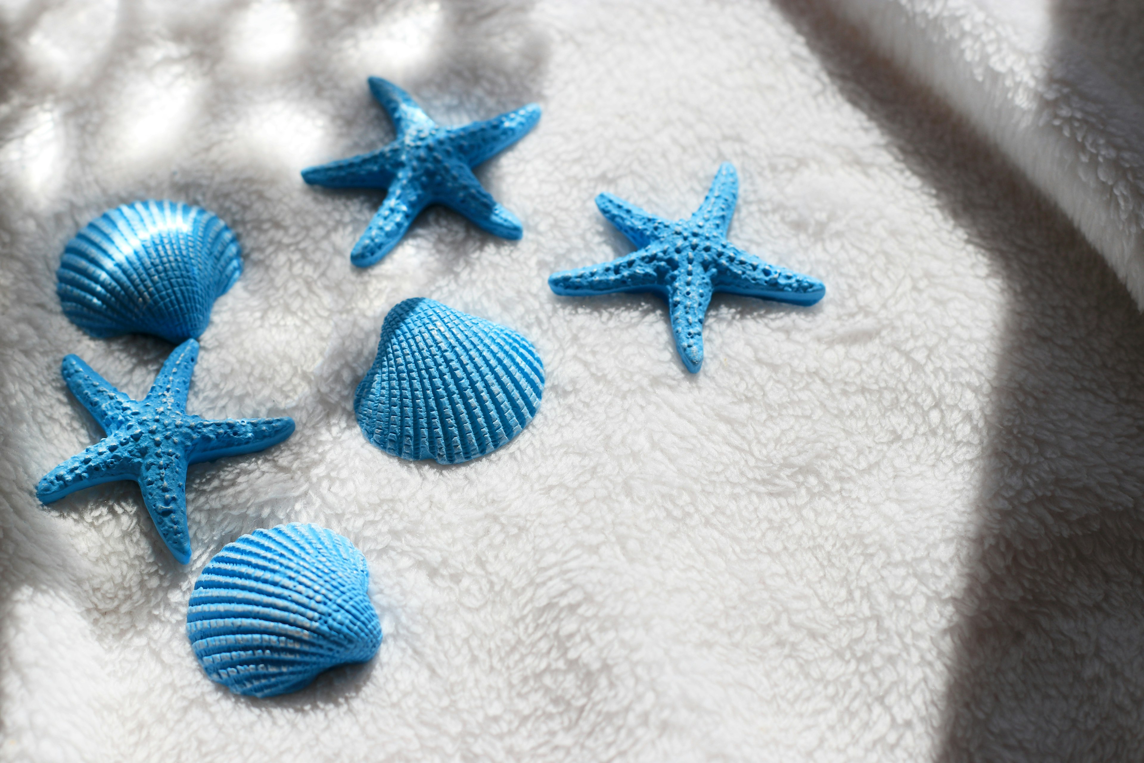 Blue seashells and starfish arranged on a white towel