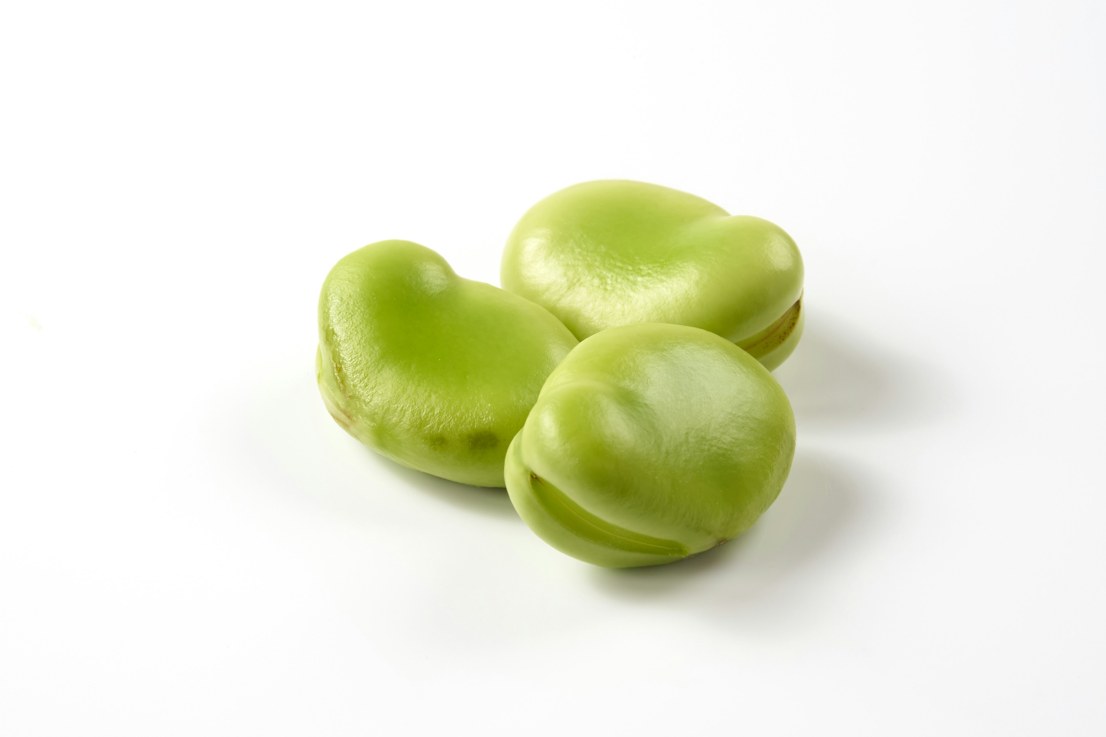 Three vibrant green fava beans on a white background