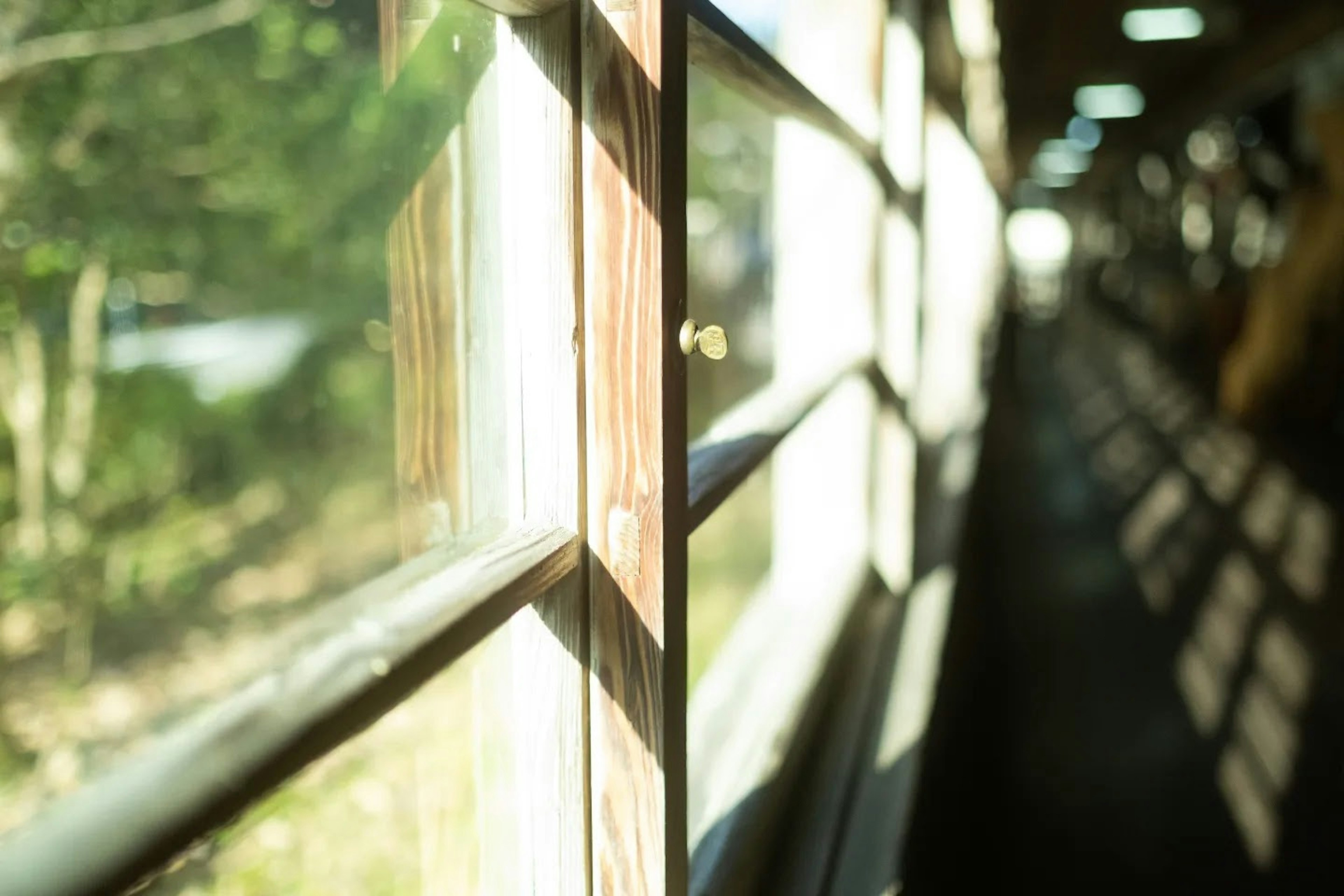 Una escena con luz natural que entra a través de un marco de ventana de madera destacando el exterior