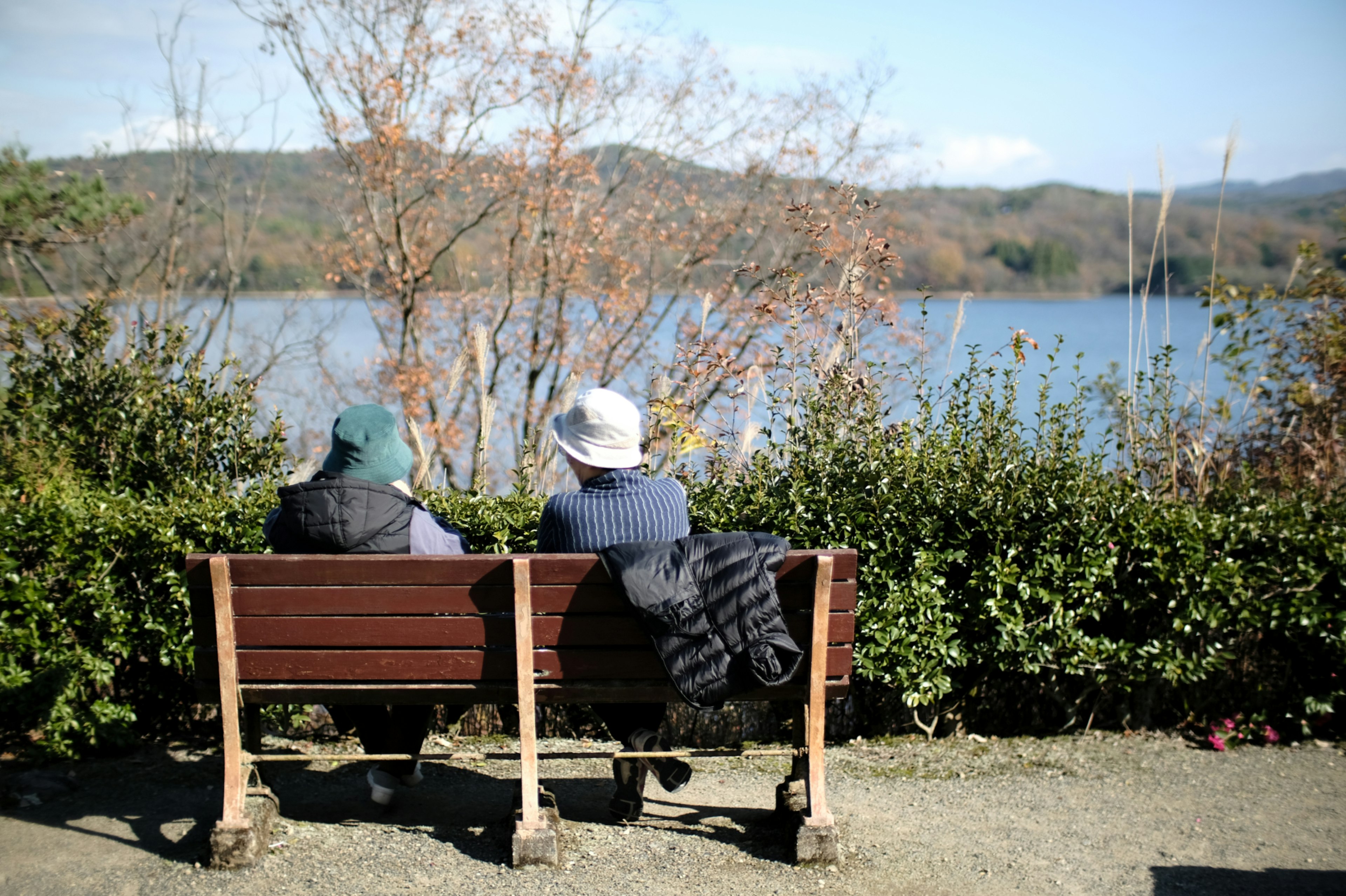 湖の景色を楽しむ二人の人々 椅子に座っている 緑豊かな植物が周囲にある