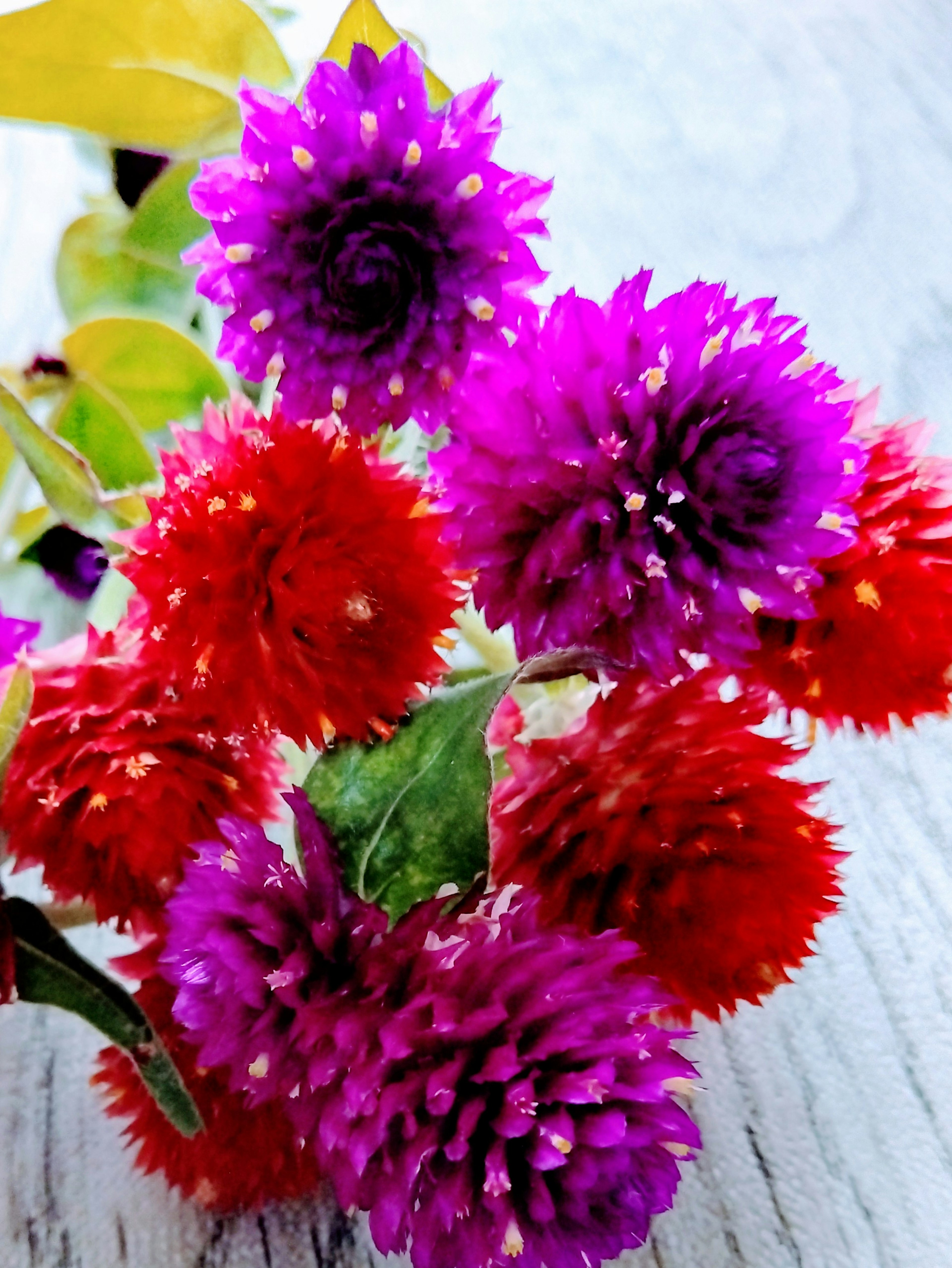 Bunter Blumenstrauß mit roten und violetten Blüten und grünen Blättern