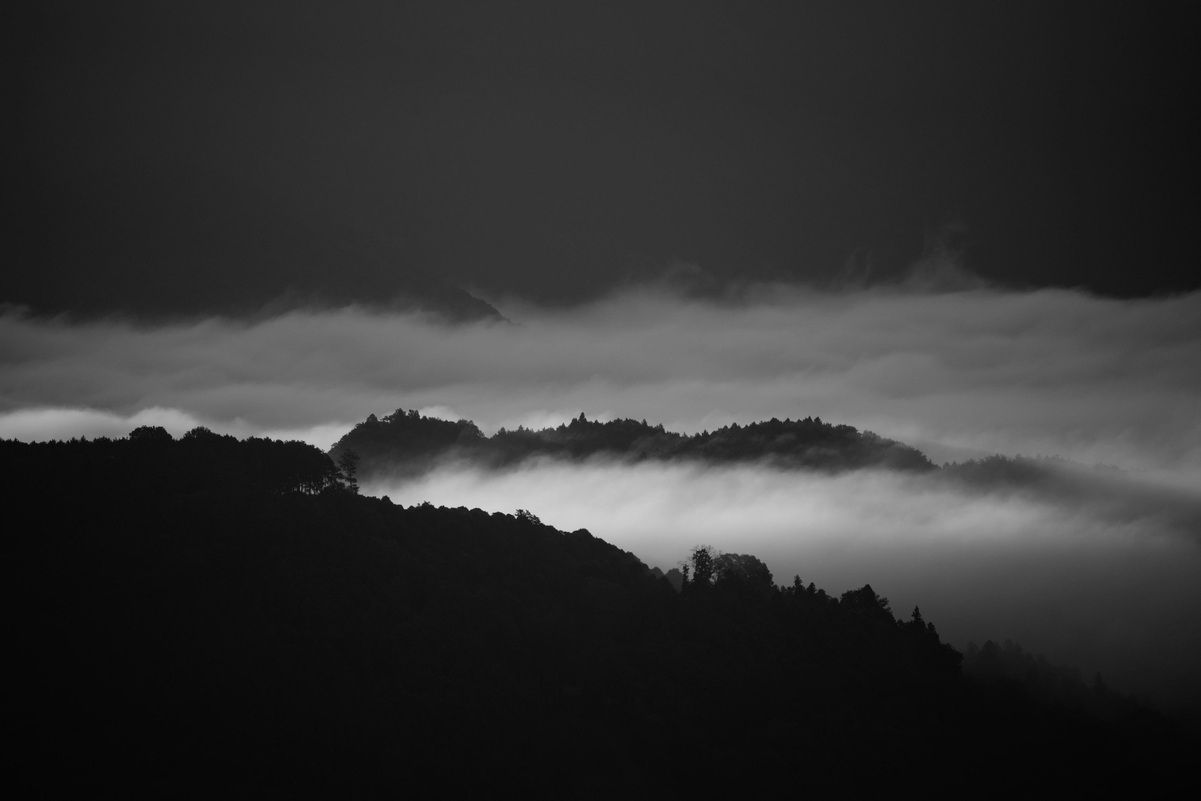 Silhouette di montagne avvolte nella nebbia e paesaggio in bianco e nero