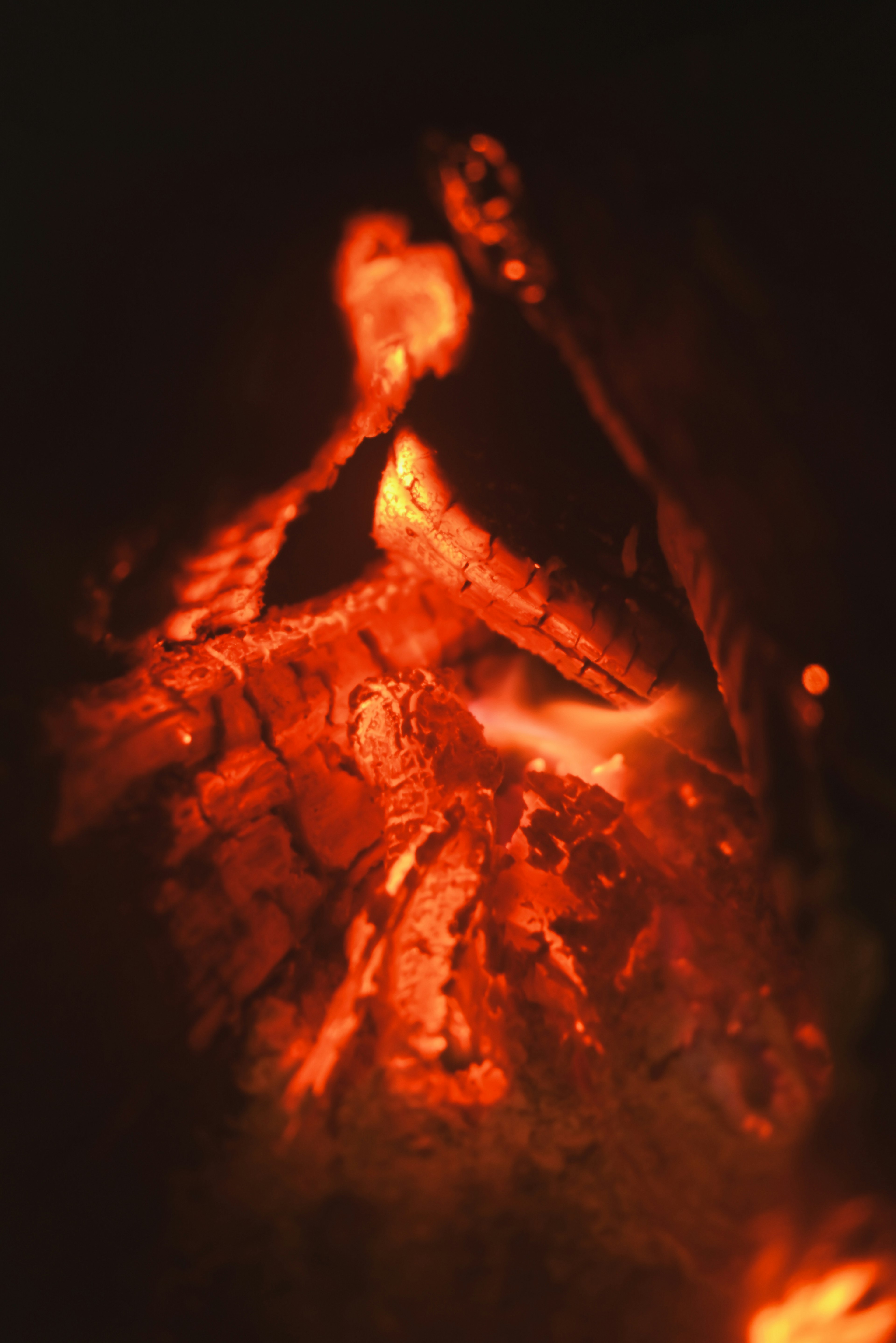 Warm campfire image featuring glowing embers and burning wood