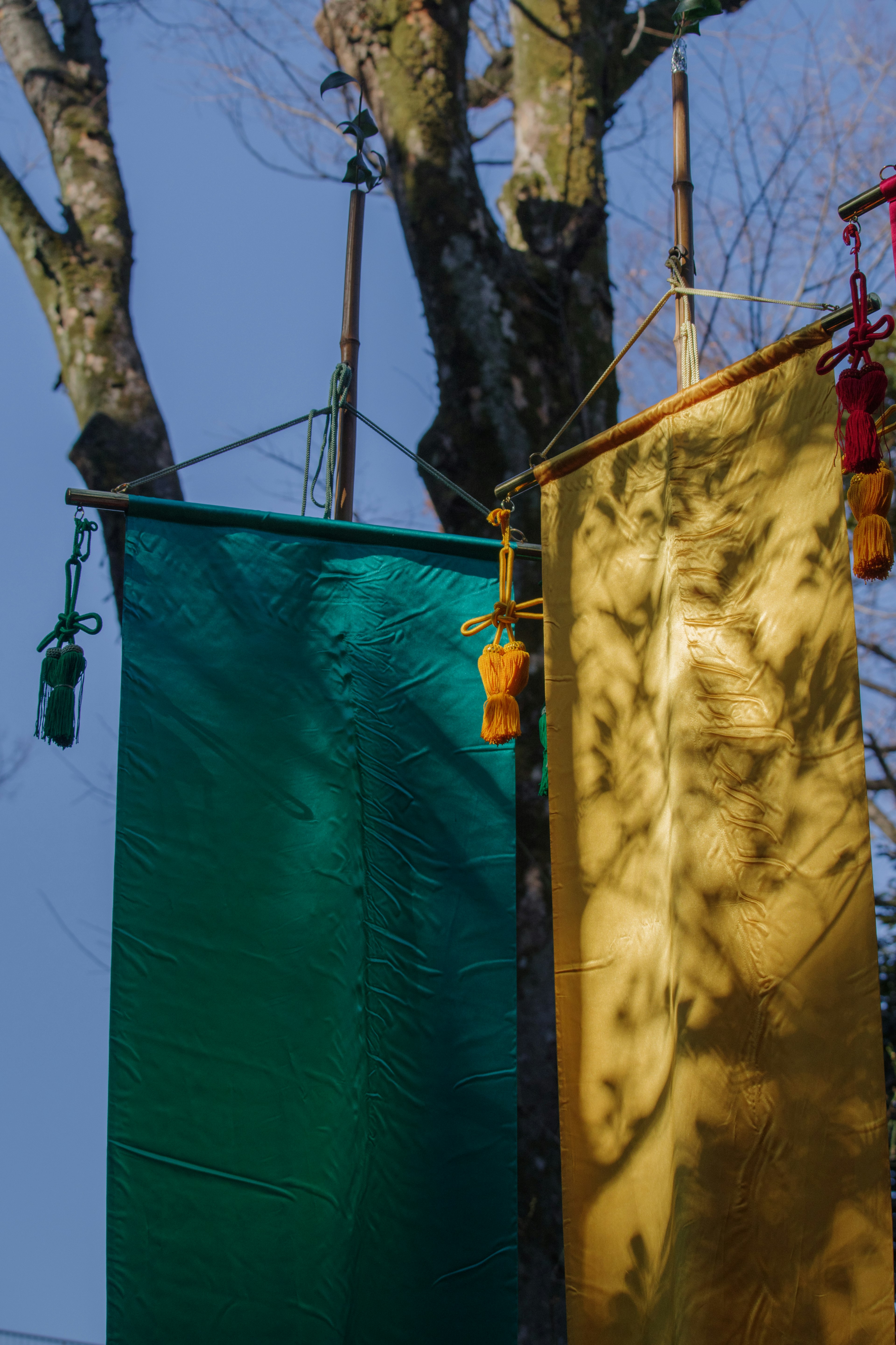 Green and yellow fabric banners hanging from a tree with shadows cast