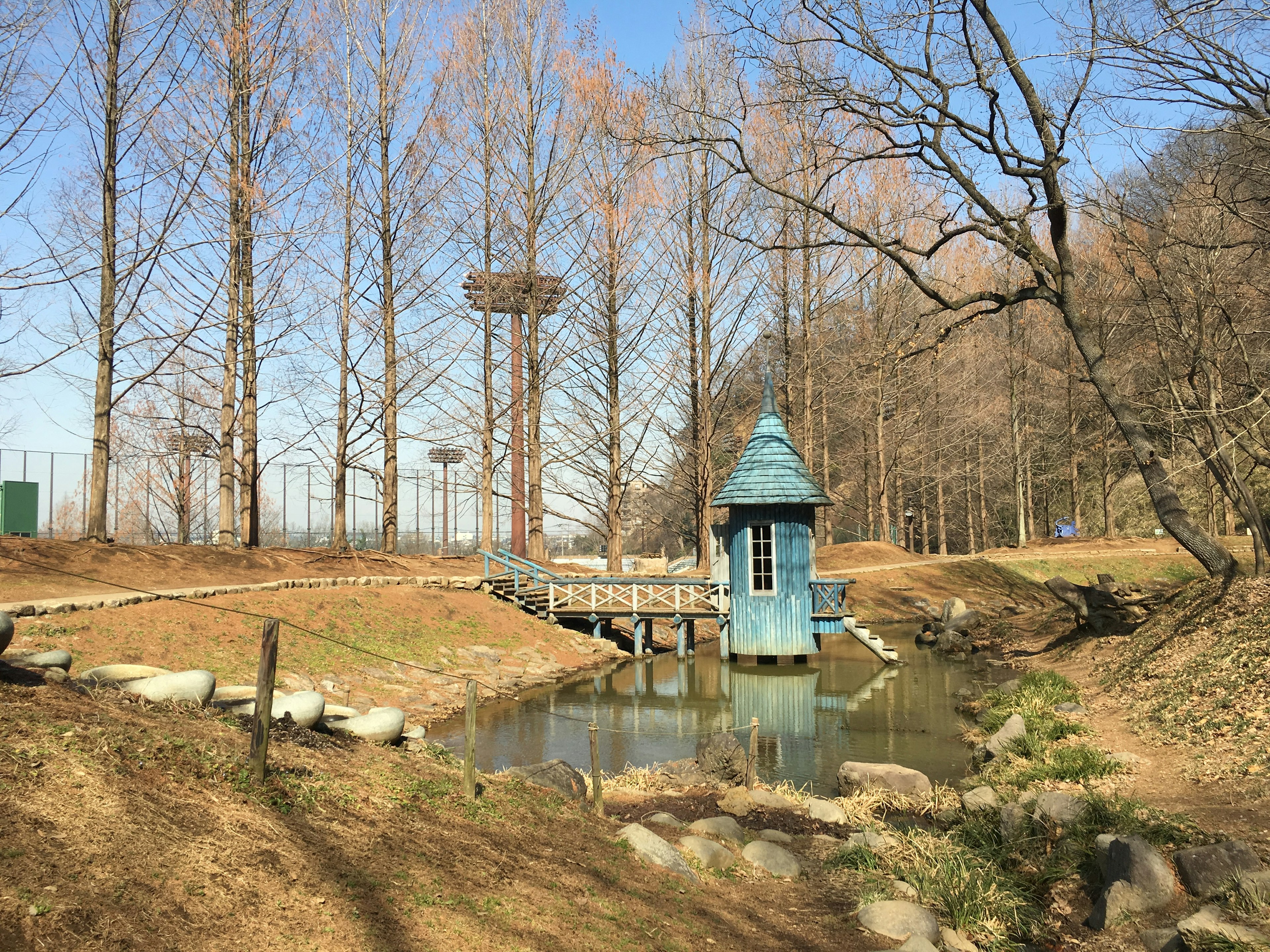 青い小屋と静かな池がある森の景色