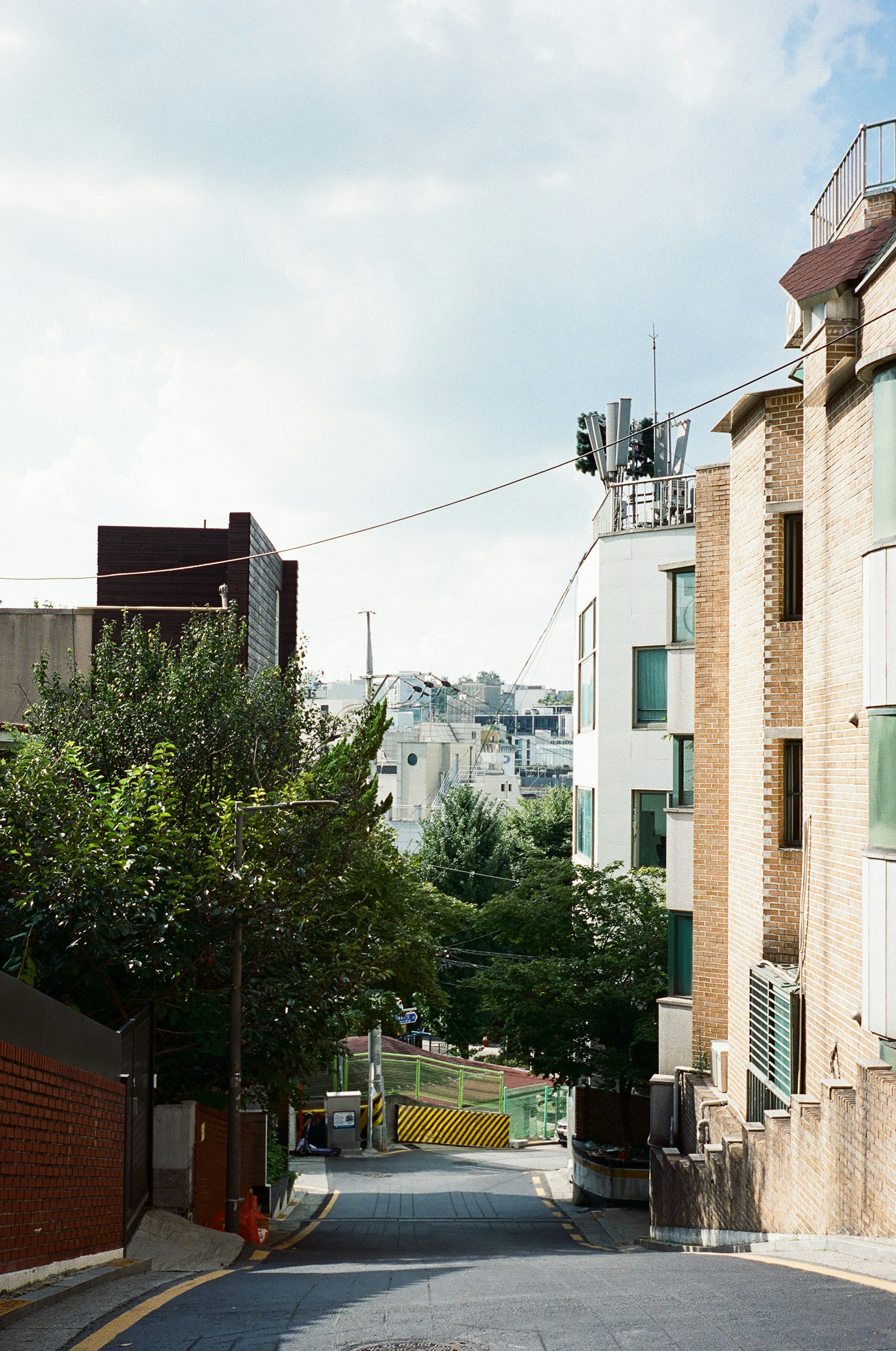 Ruhige Straße mit einer Neigung, die üppige Bäume und moderne Gebäude zeigt