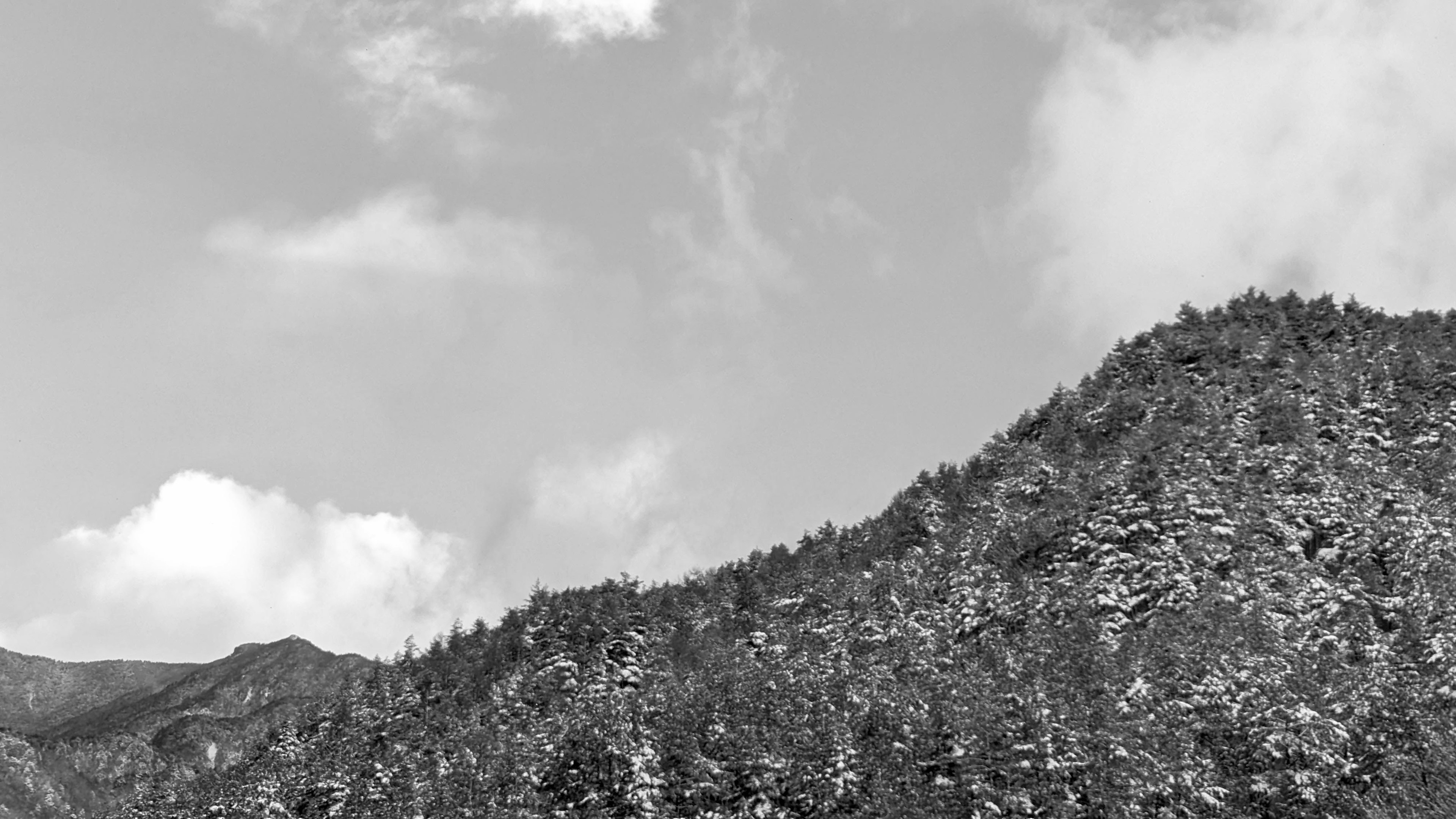 Paysage de montagne en noir et blanc avec des arbres et un ciel nuageux