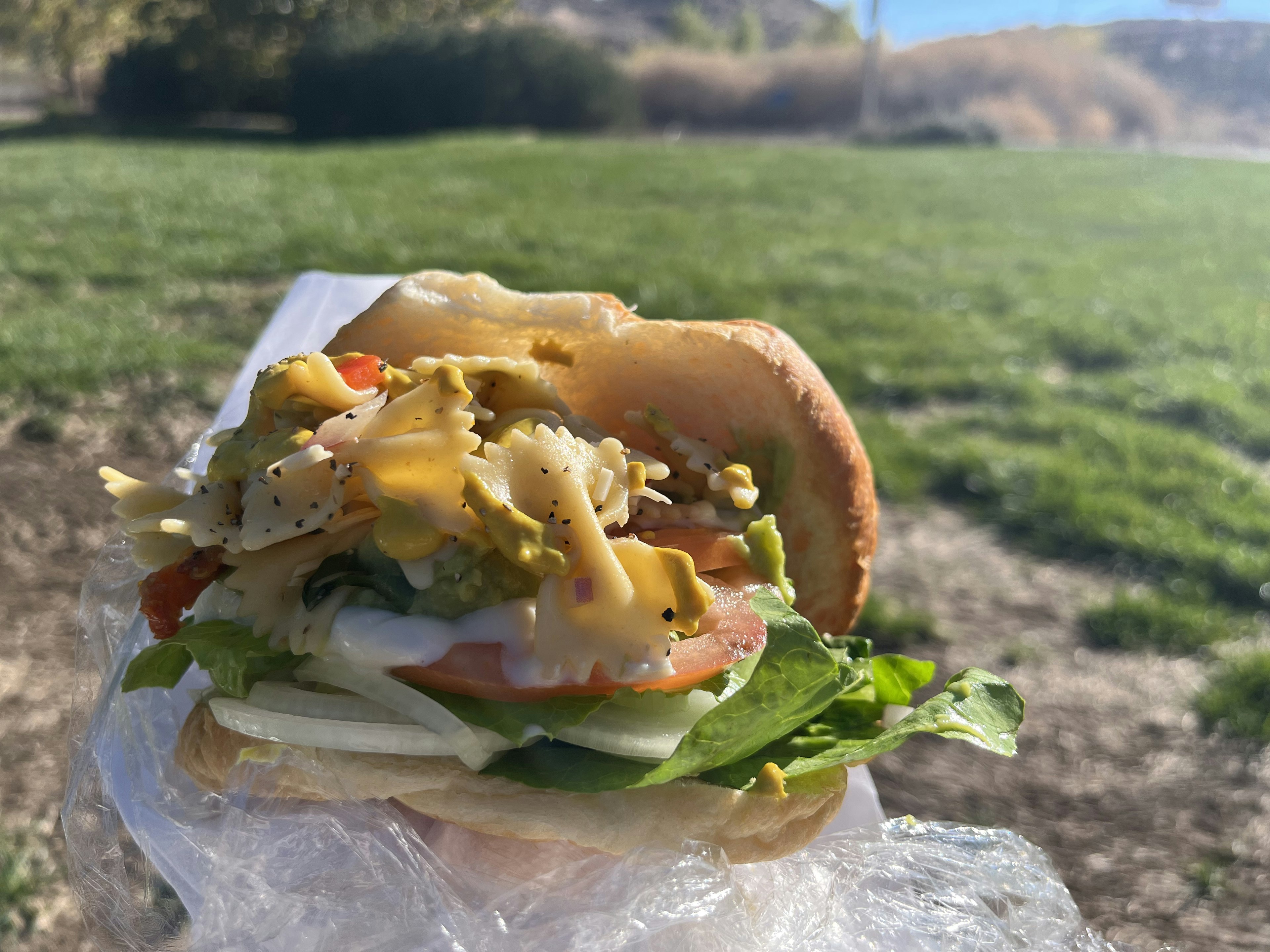 Kedekatan sandwich di atas rumput hijau dengan tomat, selada, dan artichoke