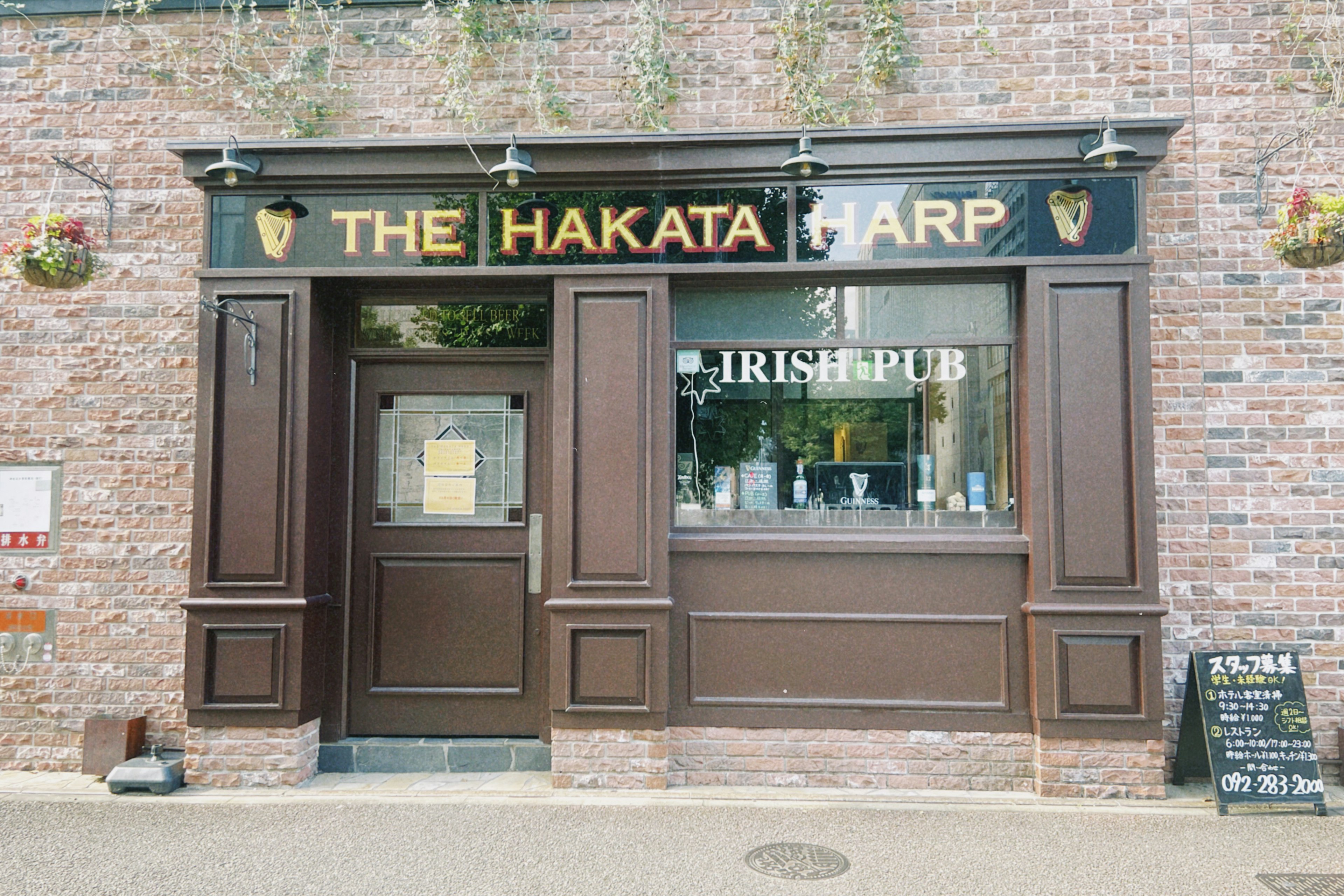 Außenansicht des irischen Pubs The Hakata Harp mit Backsteinmauer und Holztür