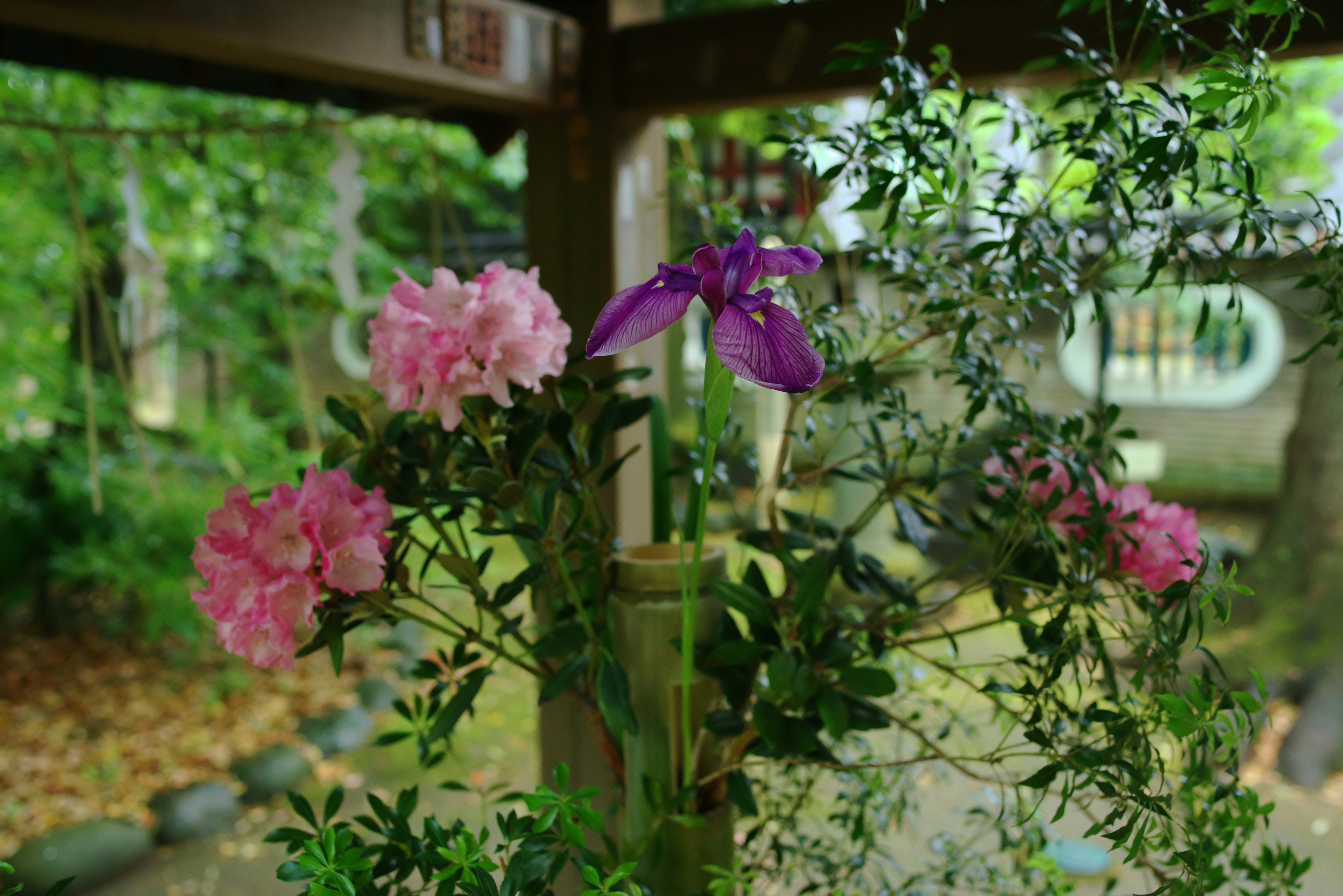 A bamboo flower arrangement featuring pink and purple flowers in a lush garden setting