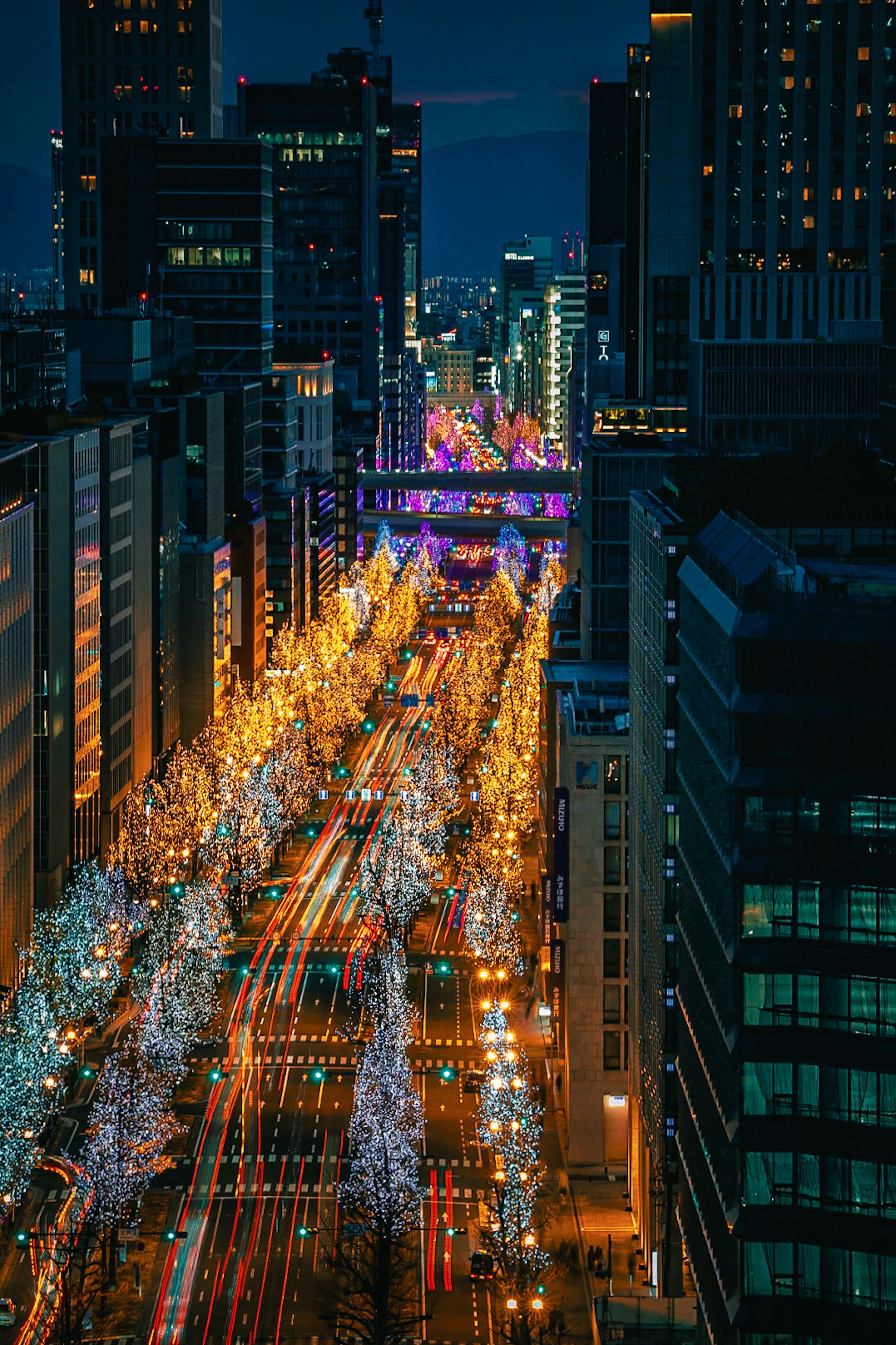 Bellissimo paesaggio urbano notturno con luci di auto e alberi illuminati