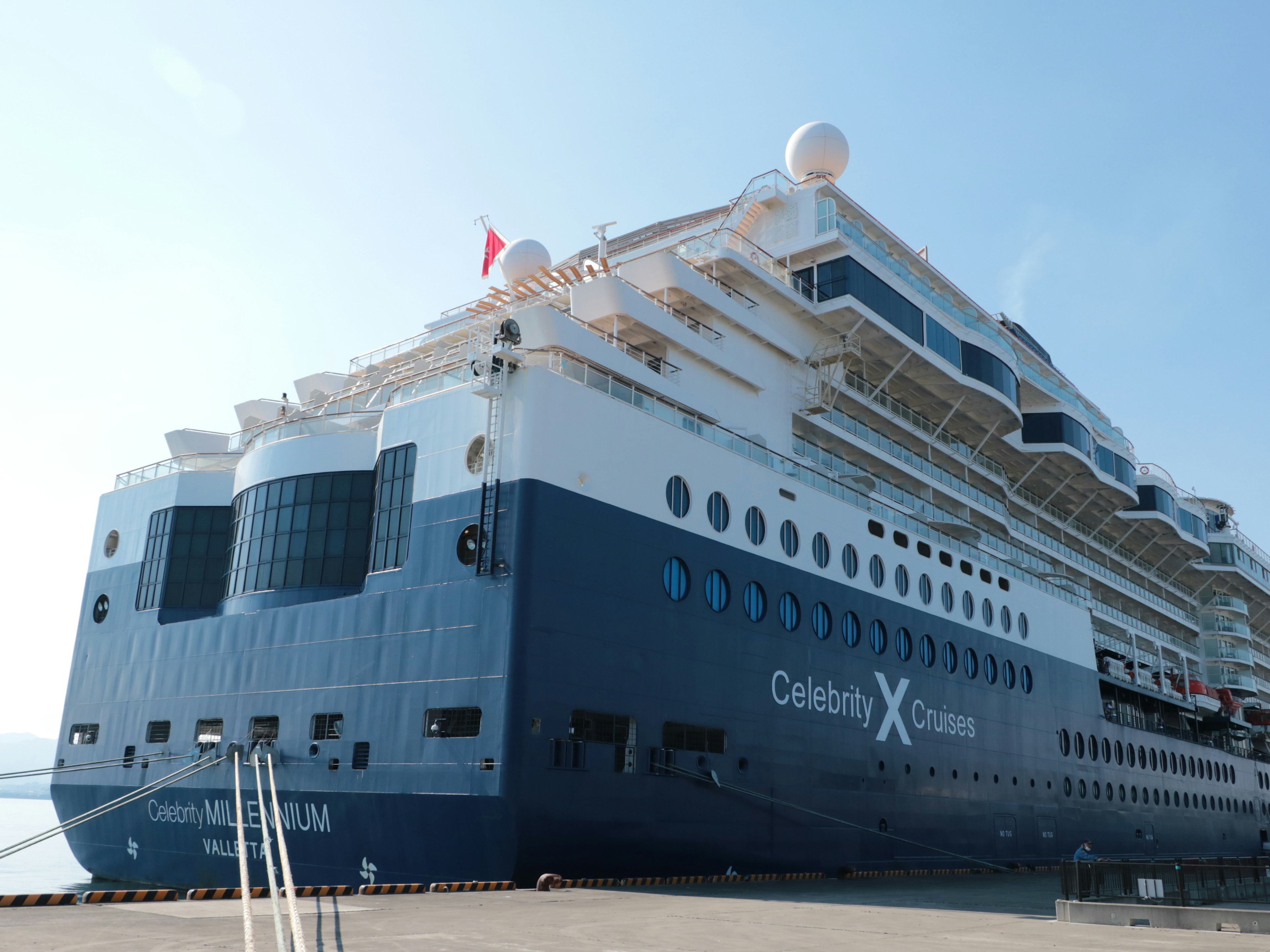 Large cruise ship docked at a port