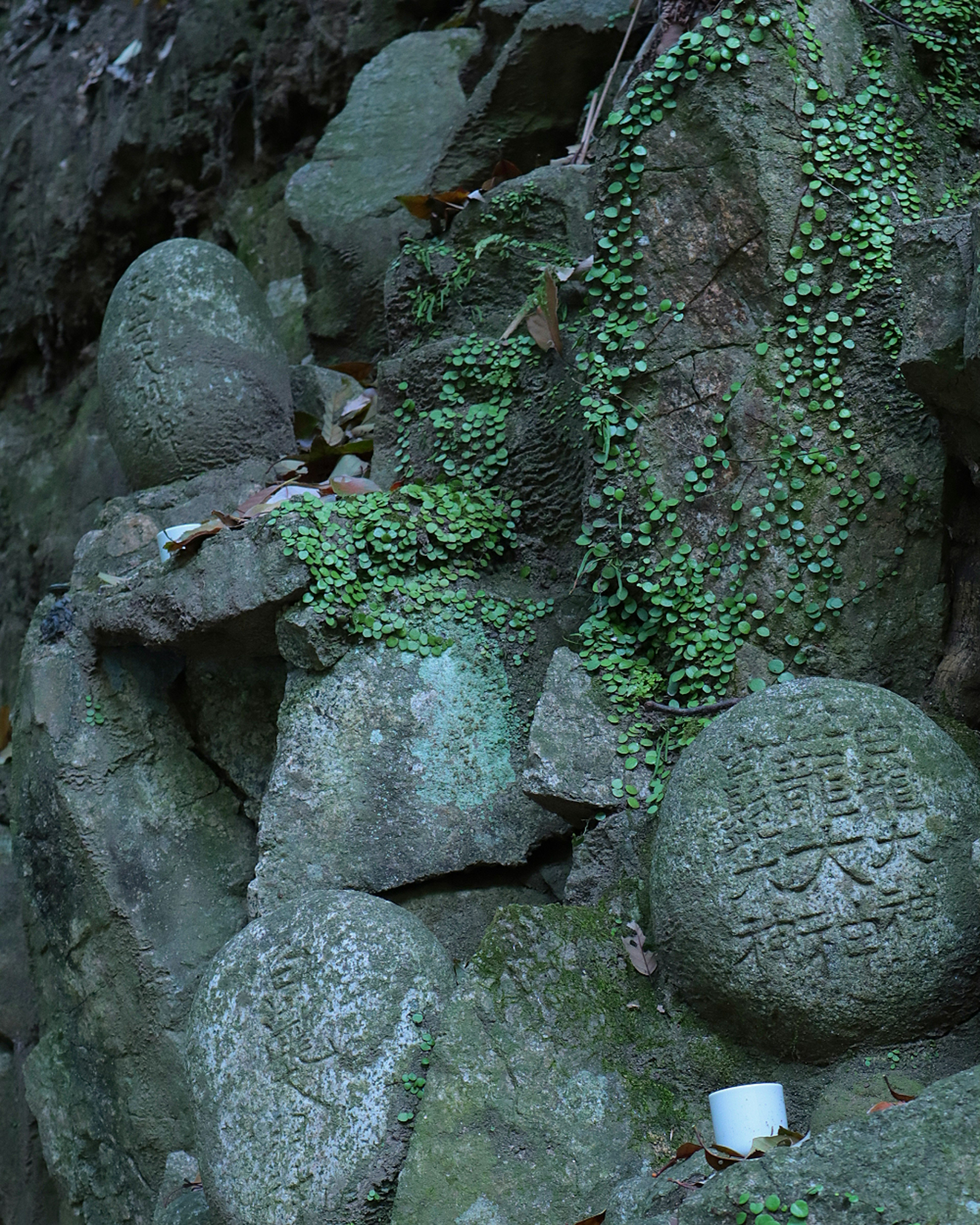 Landscape with rounded stones covered in green plants on rocks