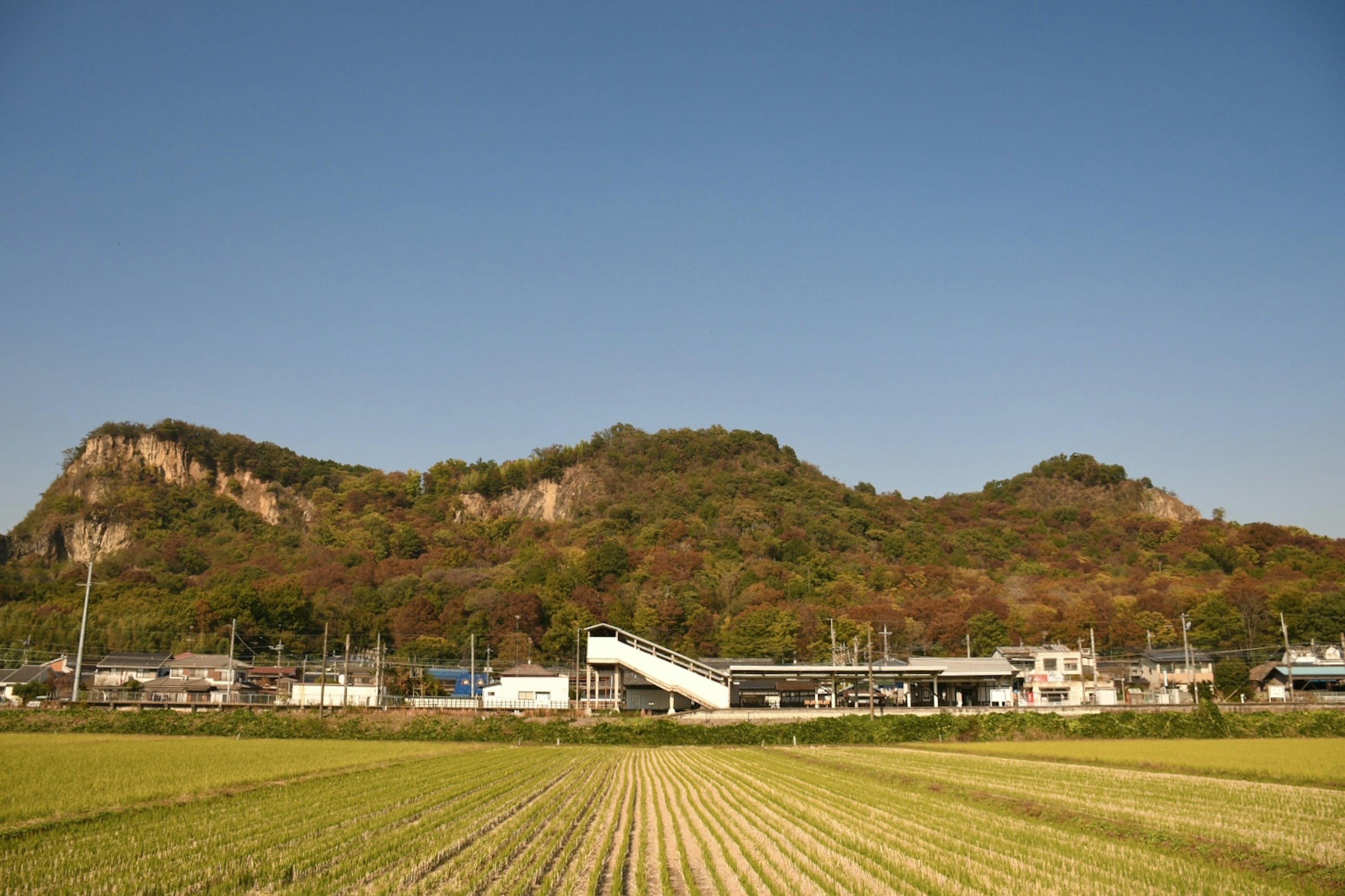 青空の下に広がる田んぼと駅の風景で、山が背景にある