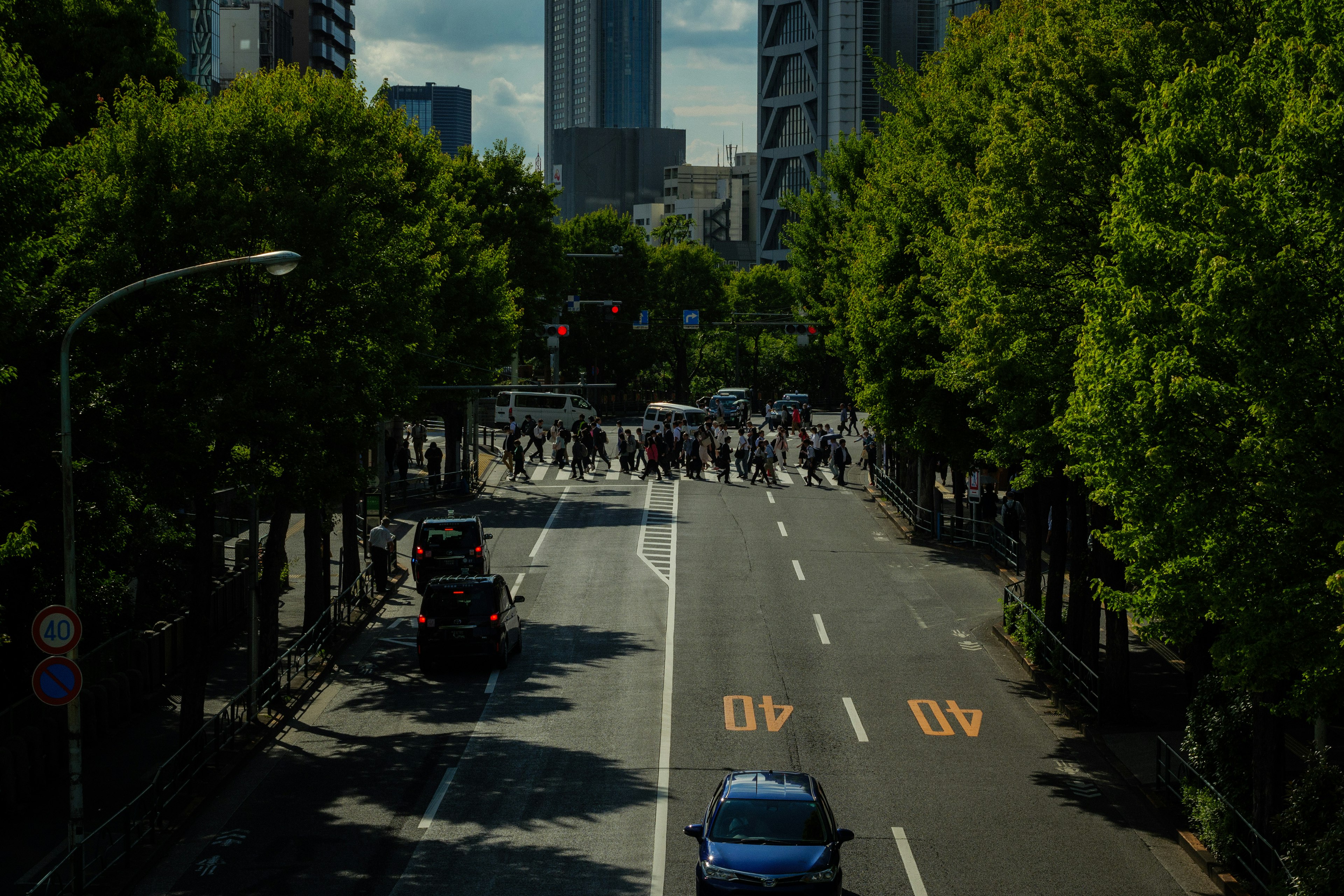 City street lined with green trees and traffic signals at an intersection