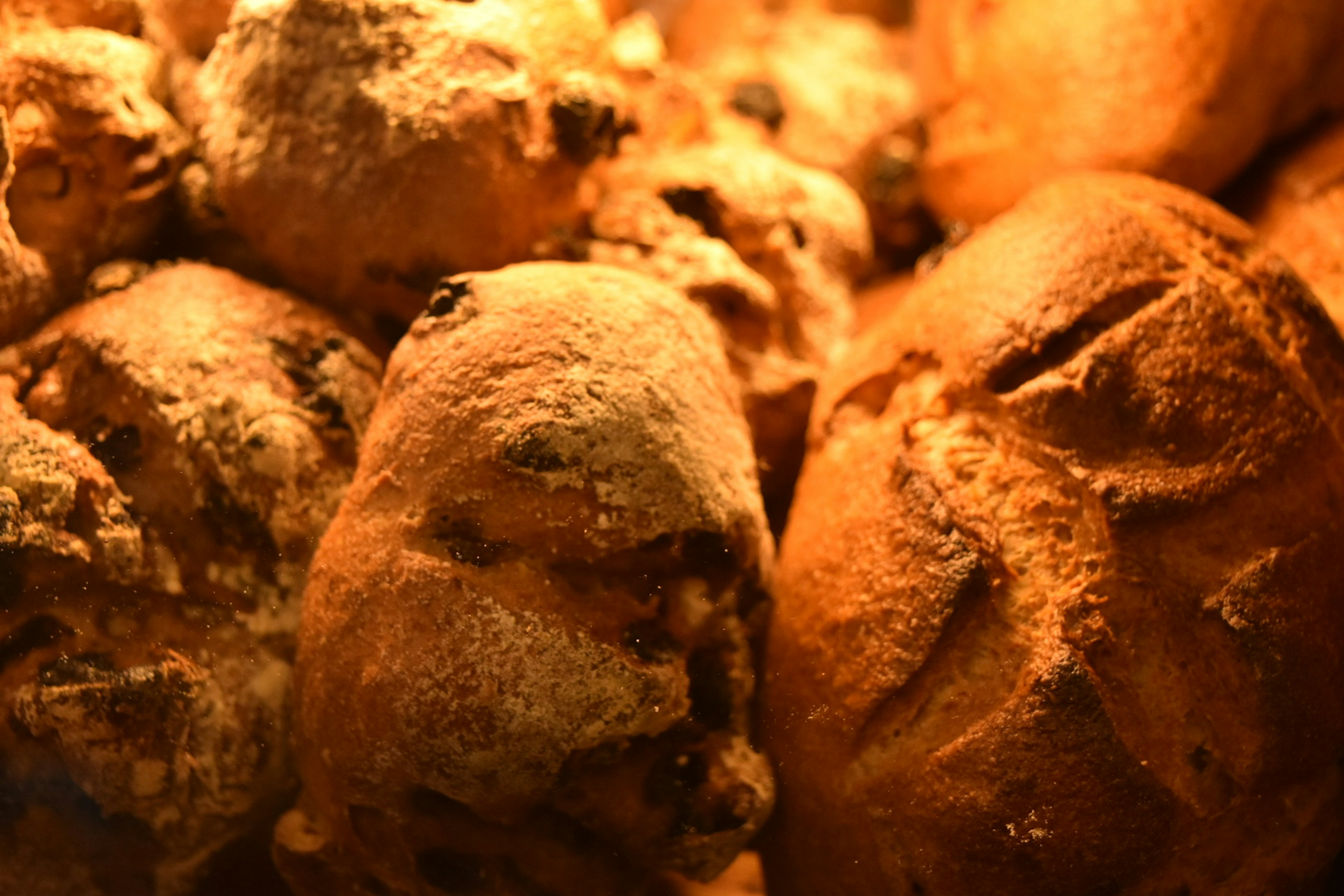 Freshly baked bread piled together in warm lighting