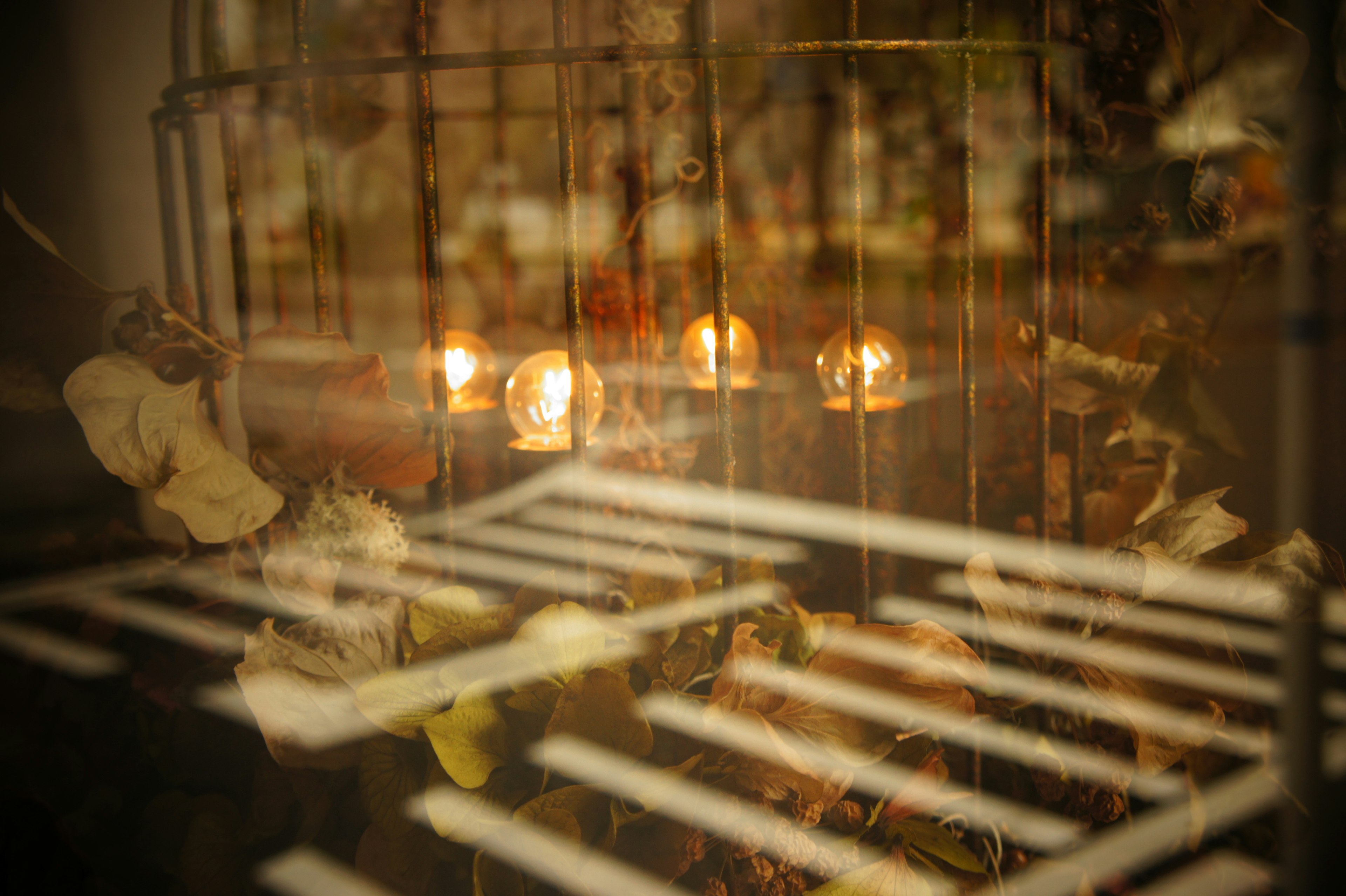 A dimly lit birdcage with glowing lights and dried plants inside